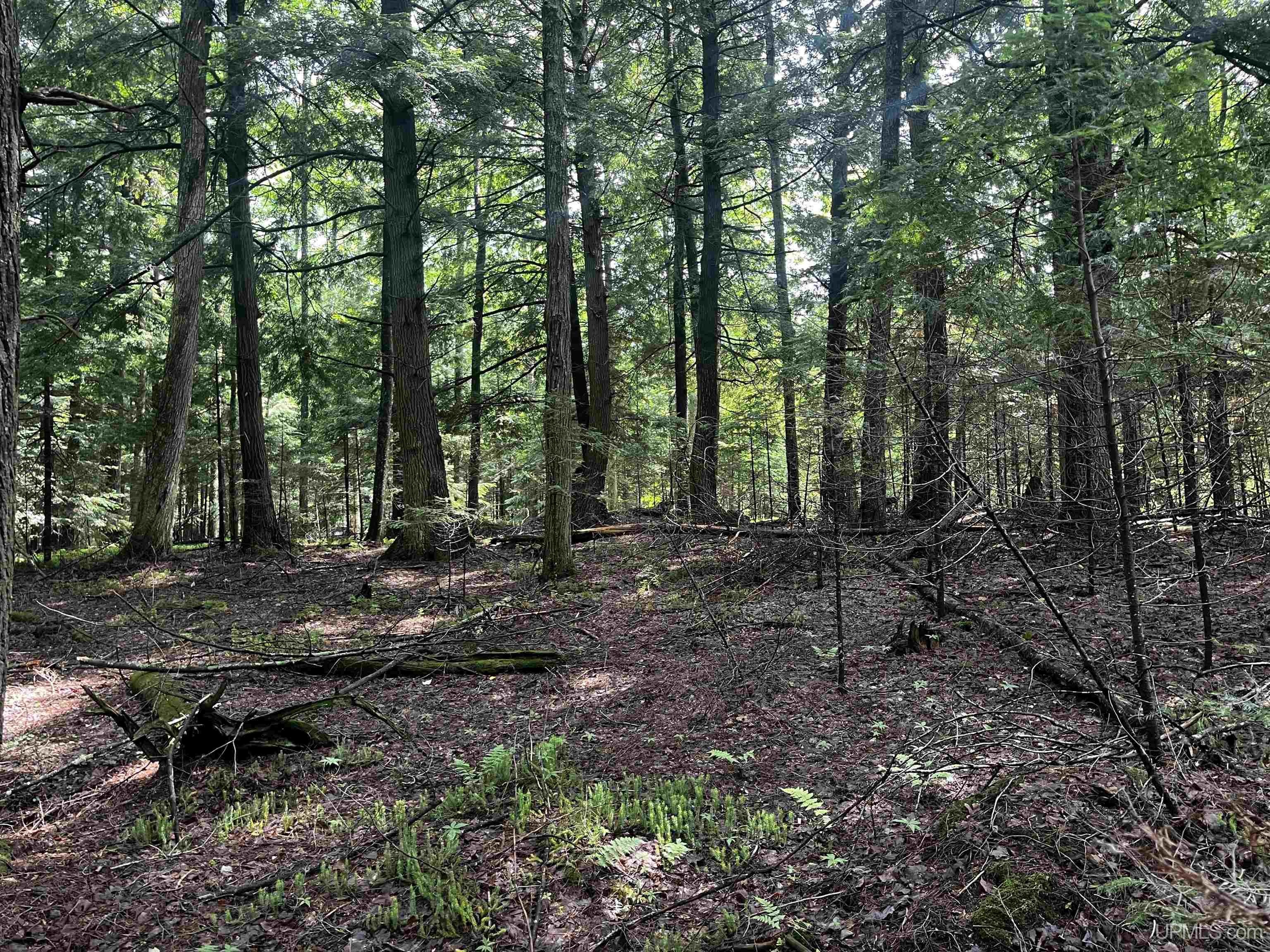 main property photo 18