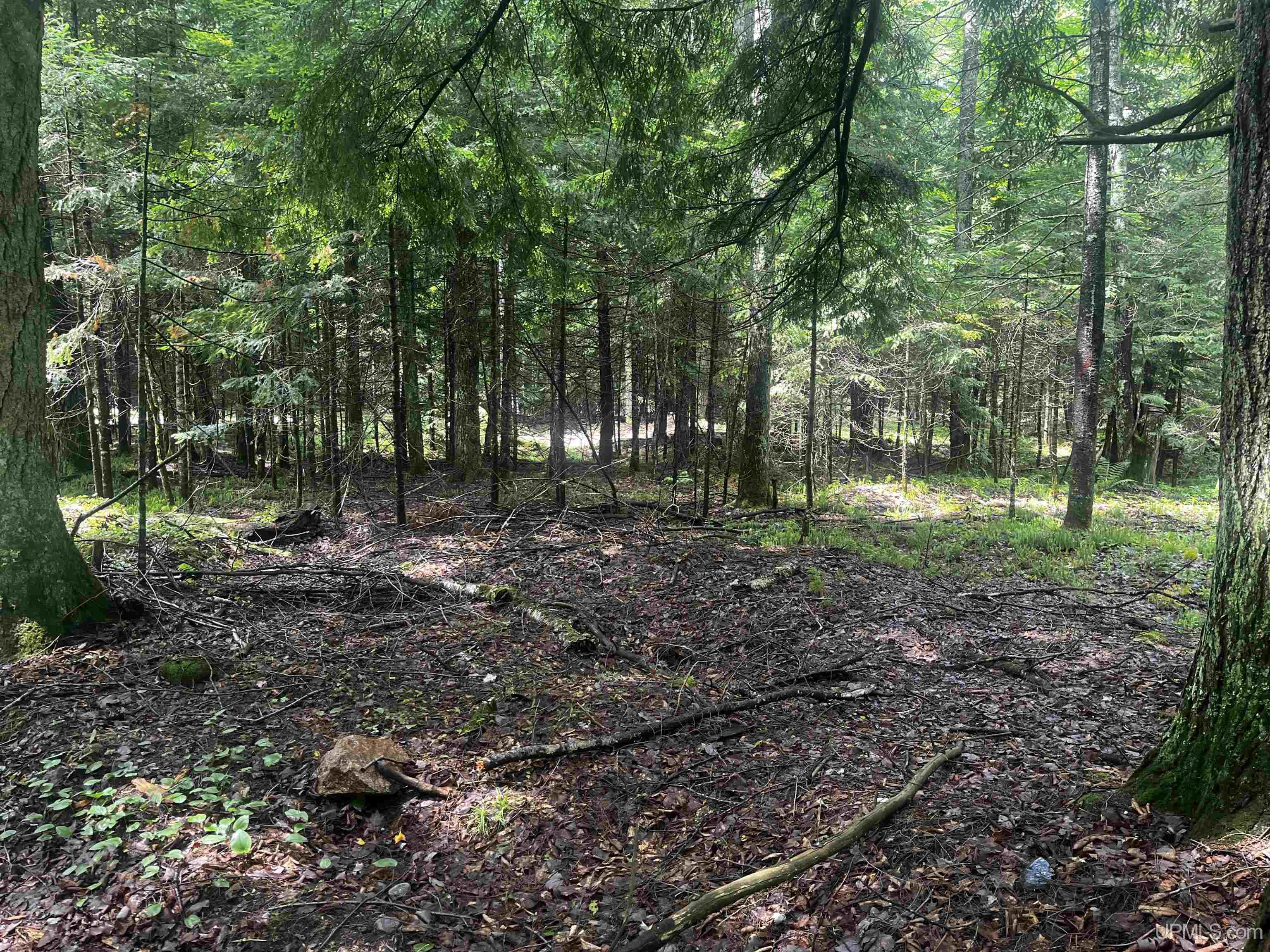 main property photo 8