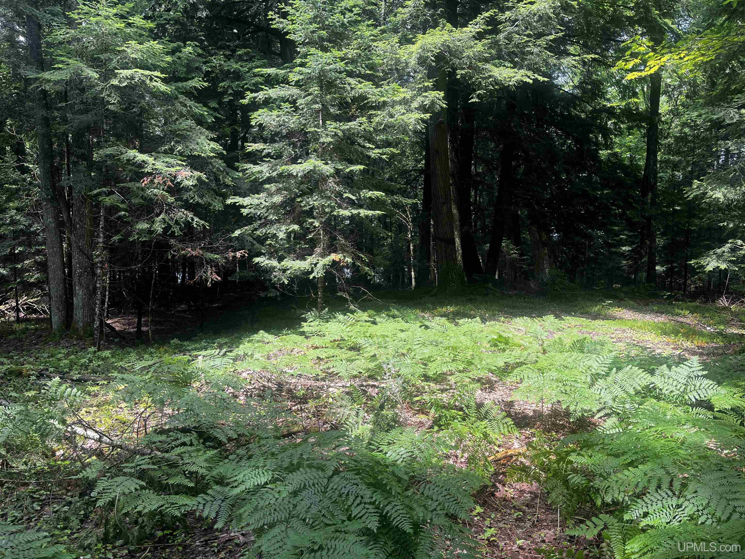 main property photo 9