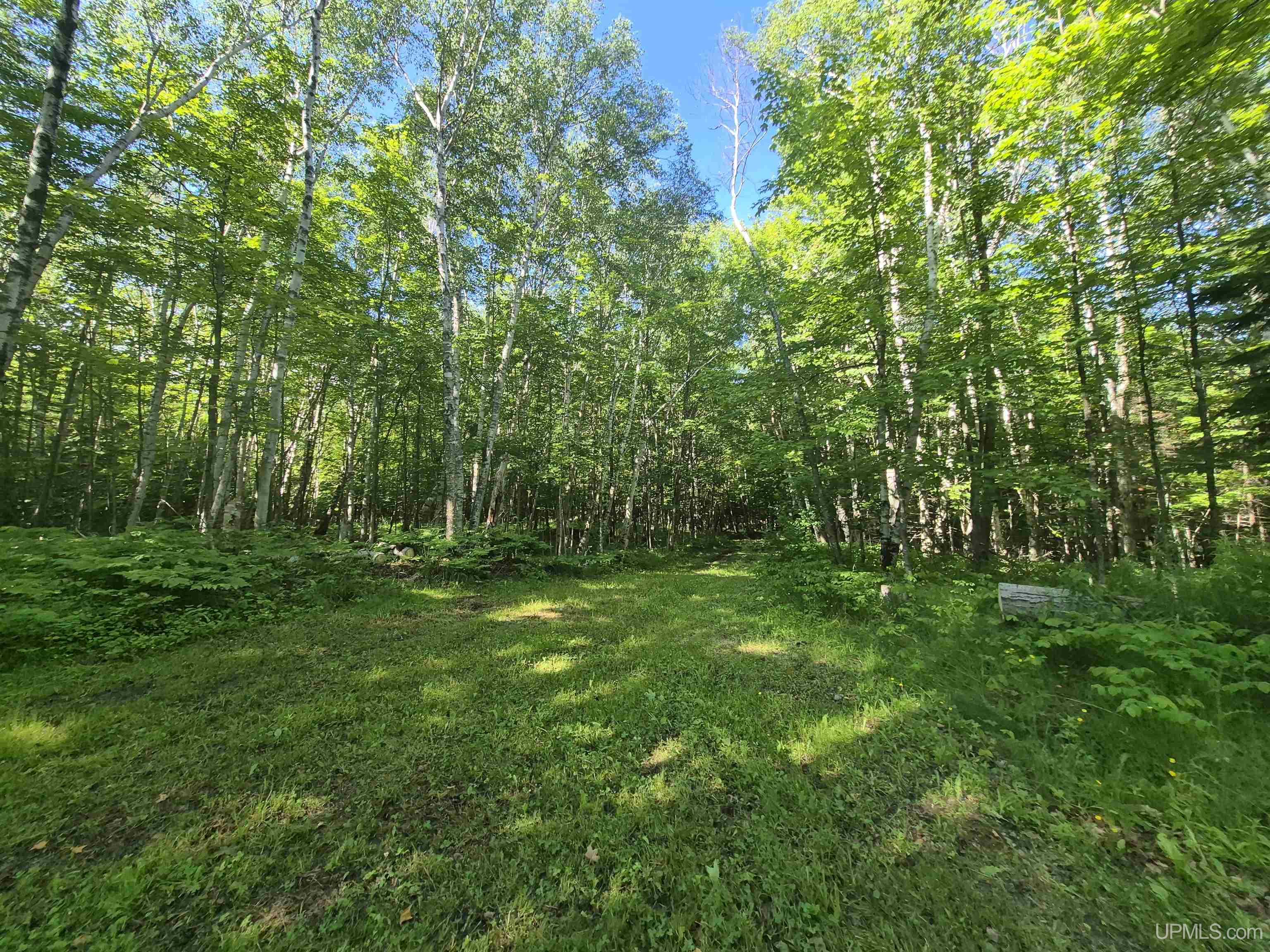 main property photo 17