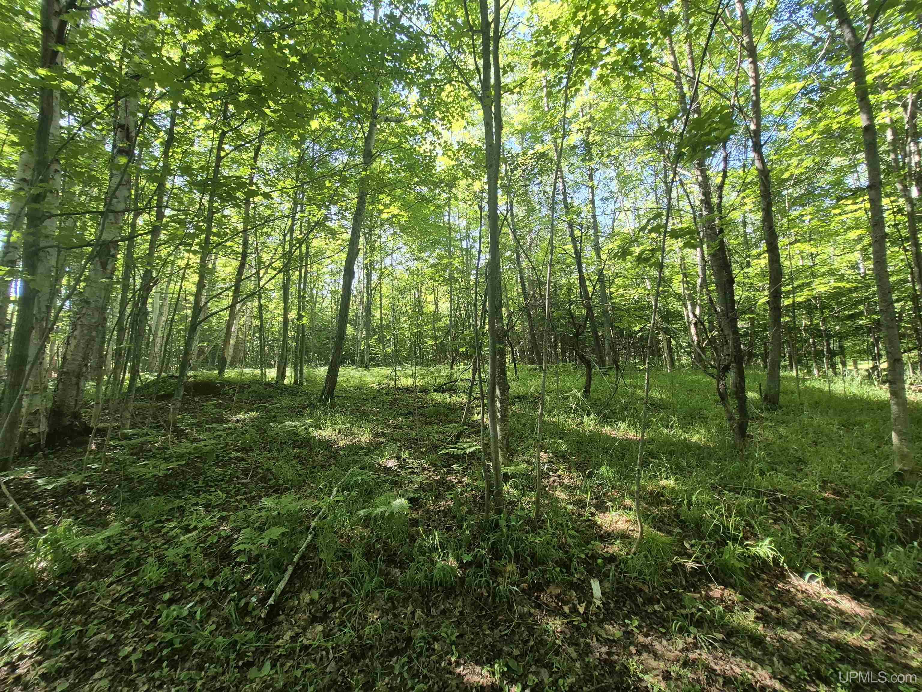 main property photo 20
