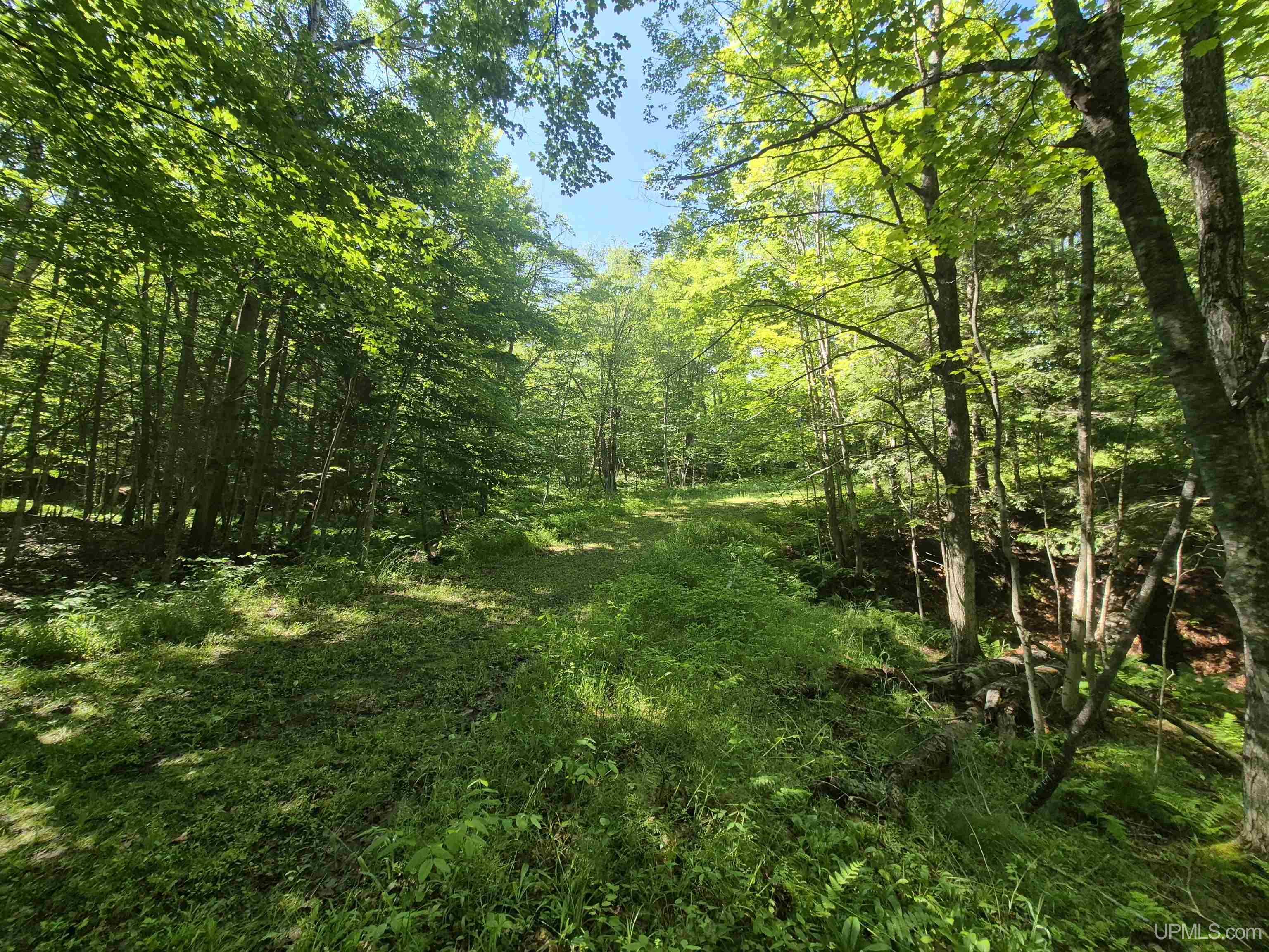 main property photo 29