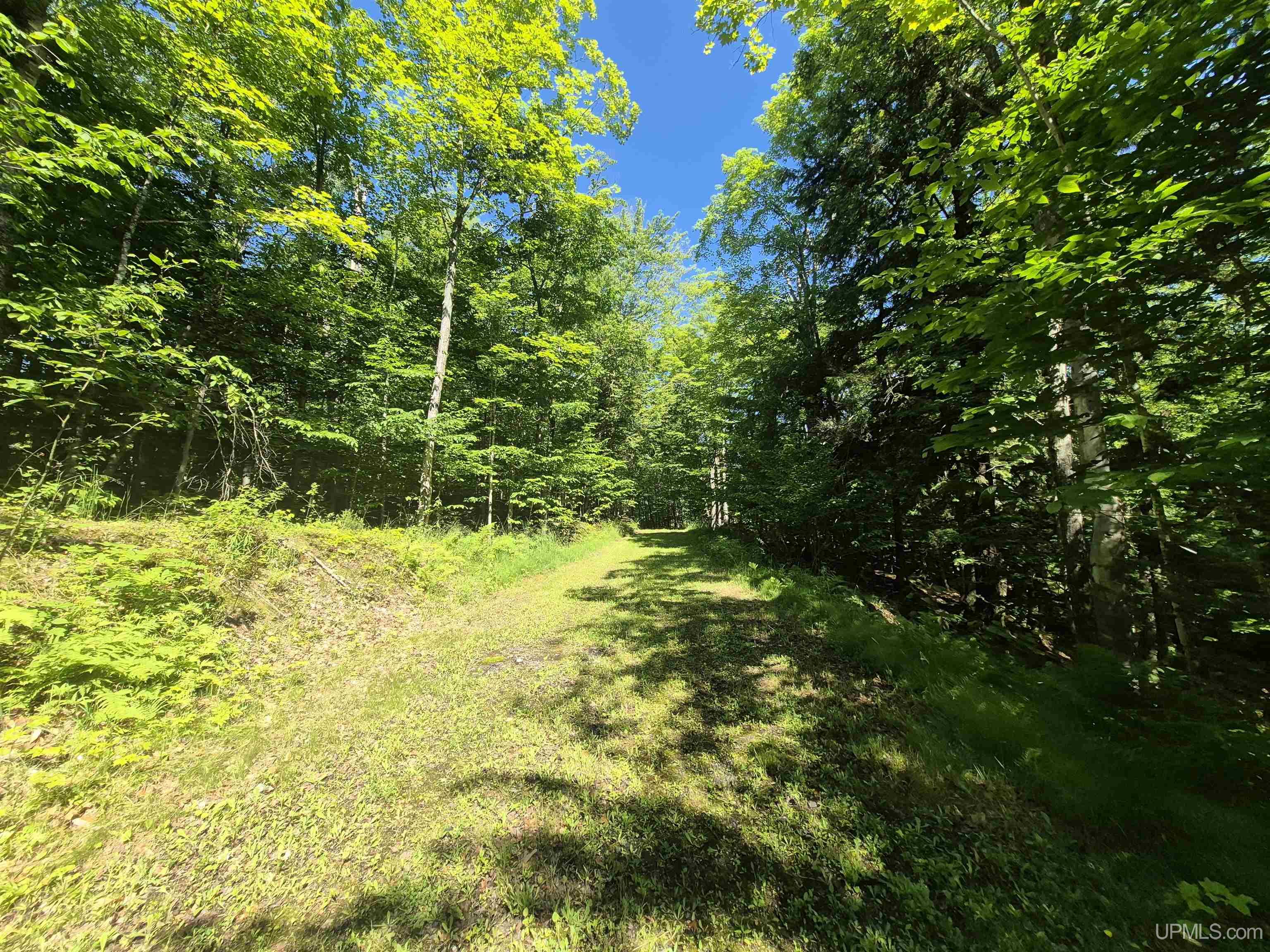 main property photo 33