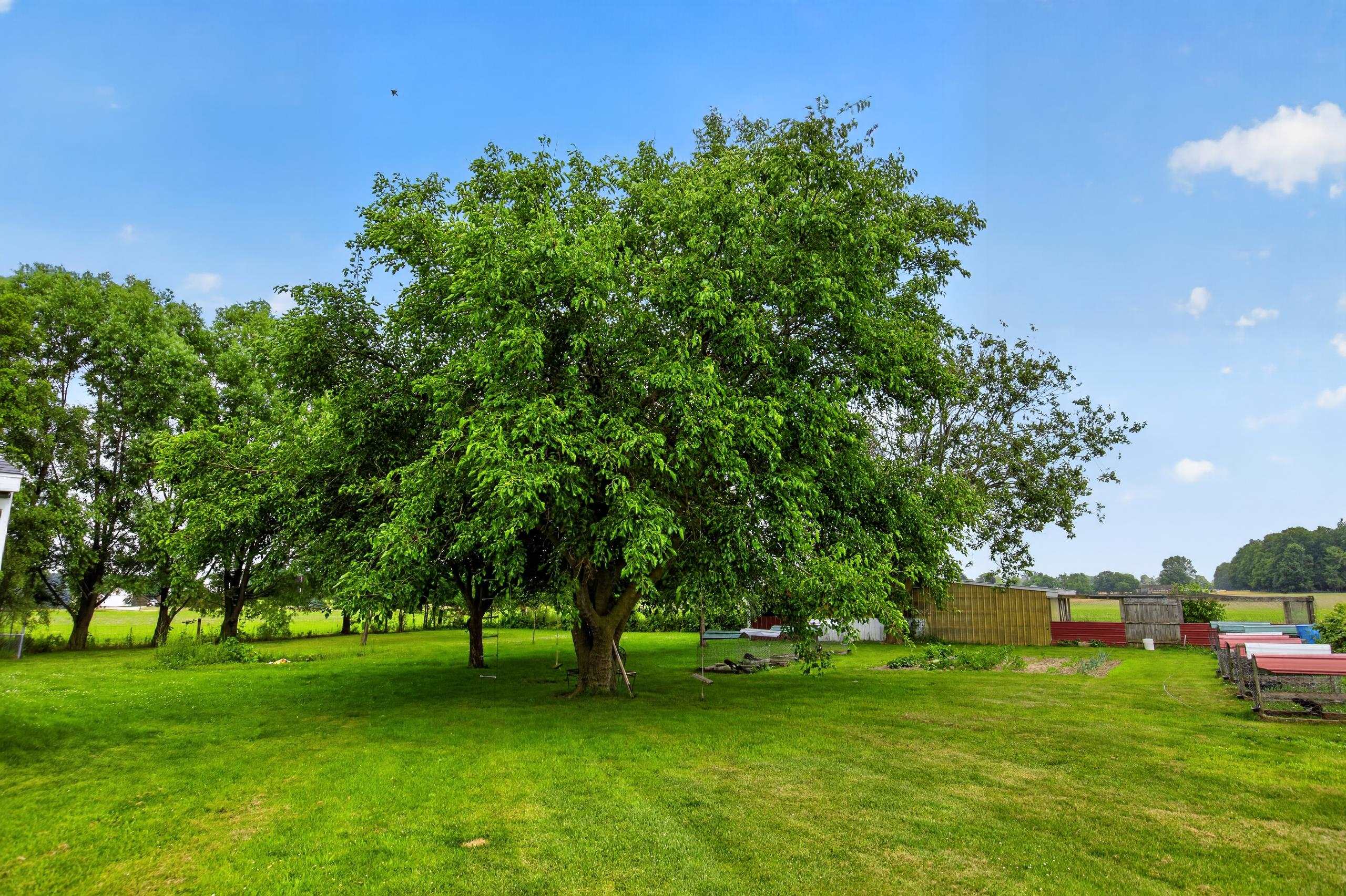 main property photo 69