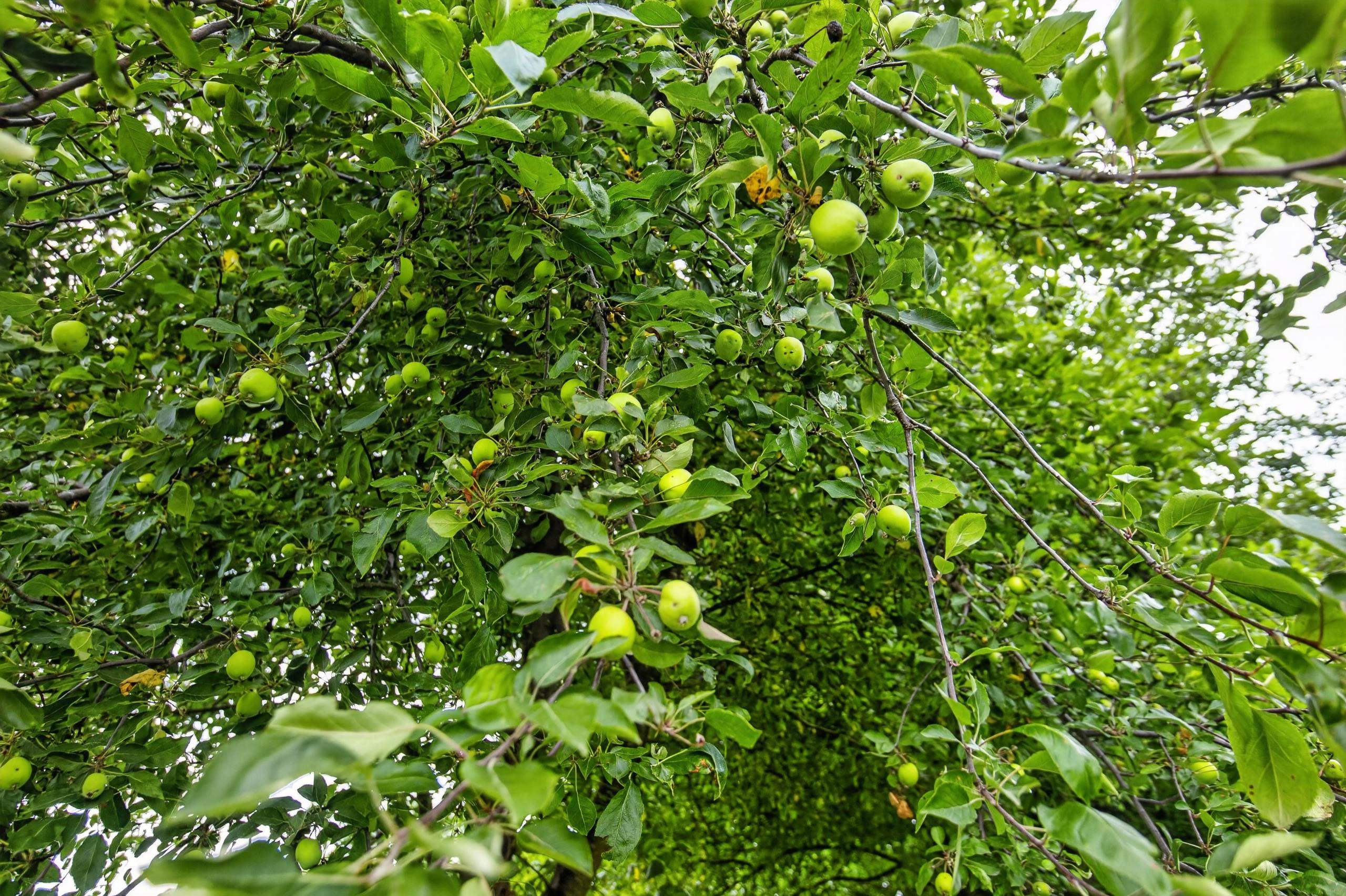 main property photo 78