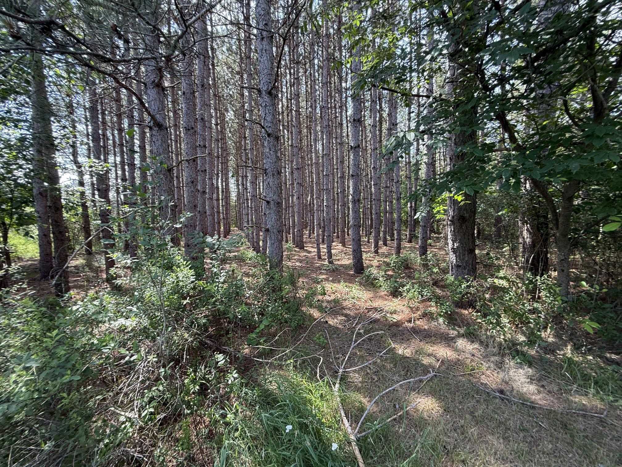 main property photo 41