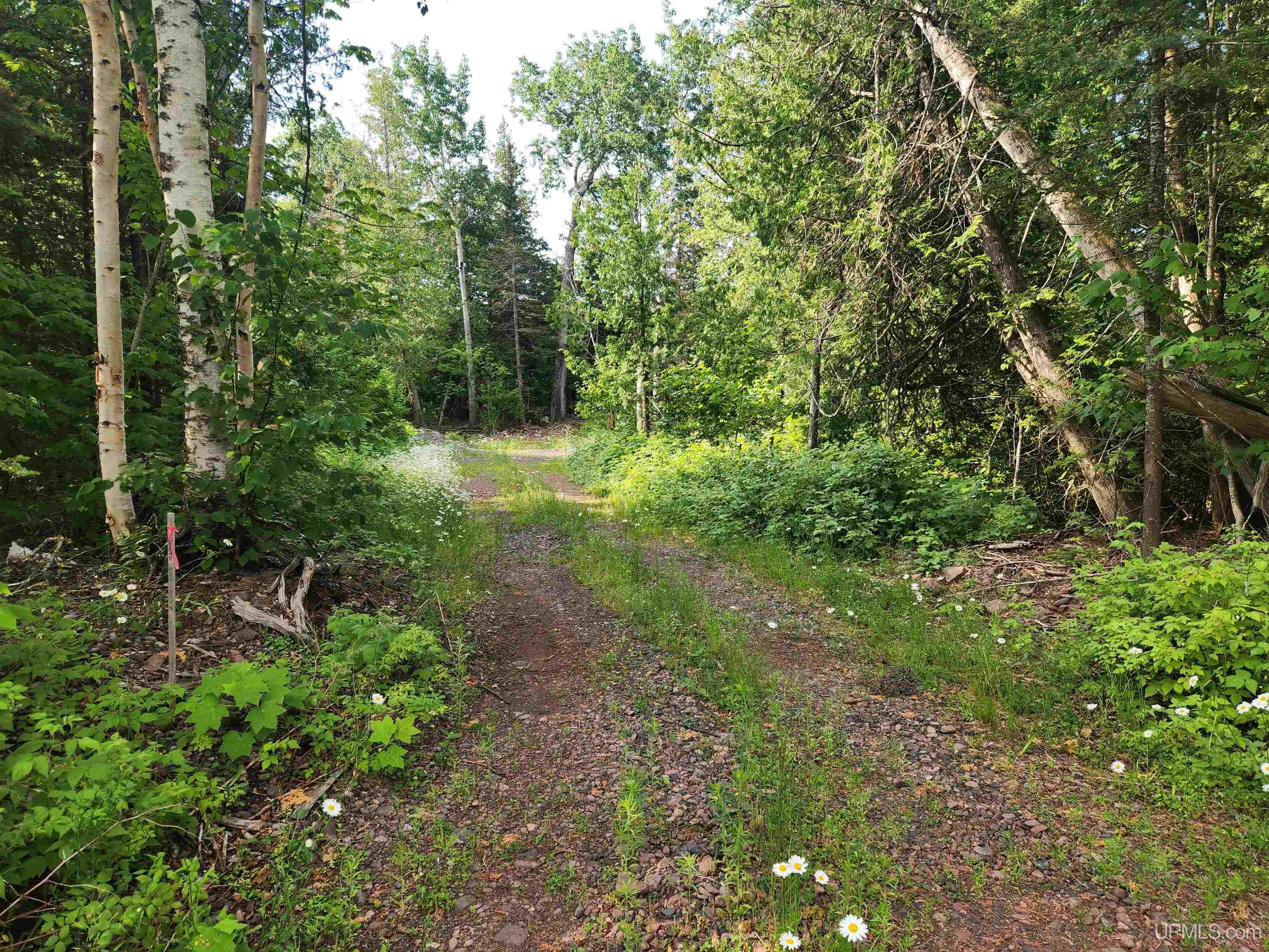 main property photo 18