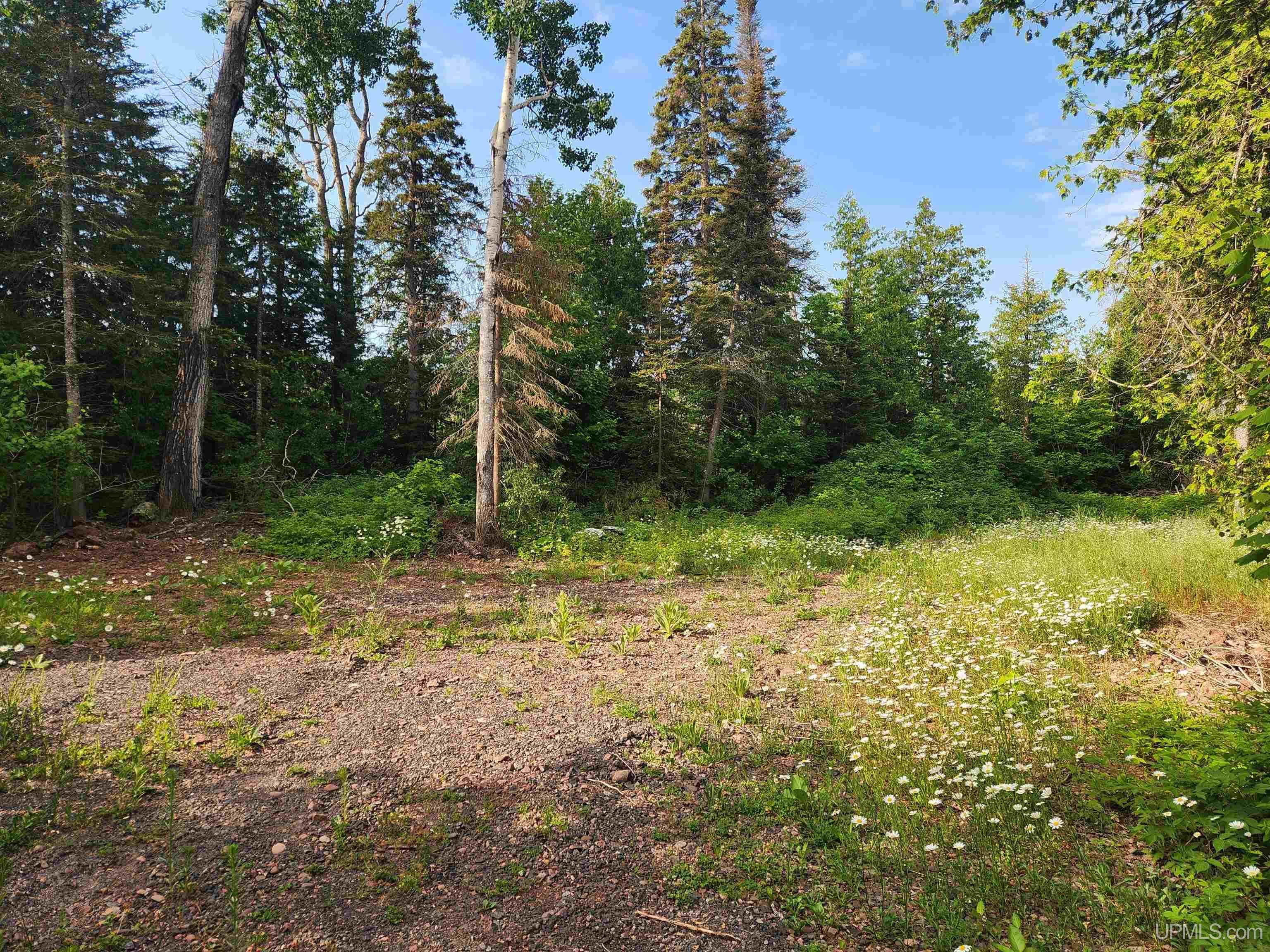 main property photo 21