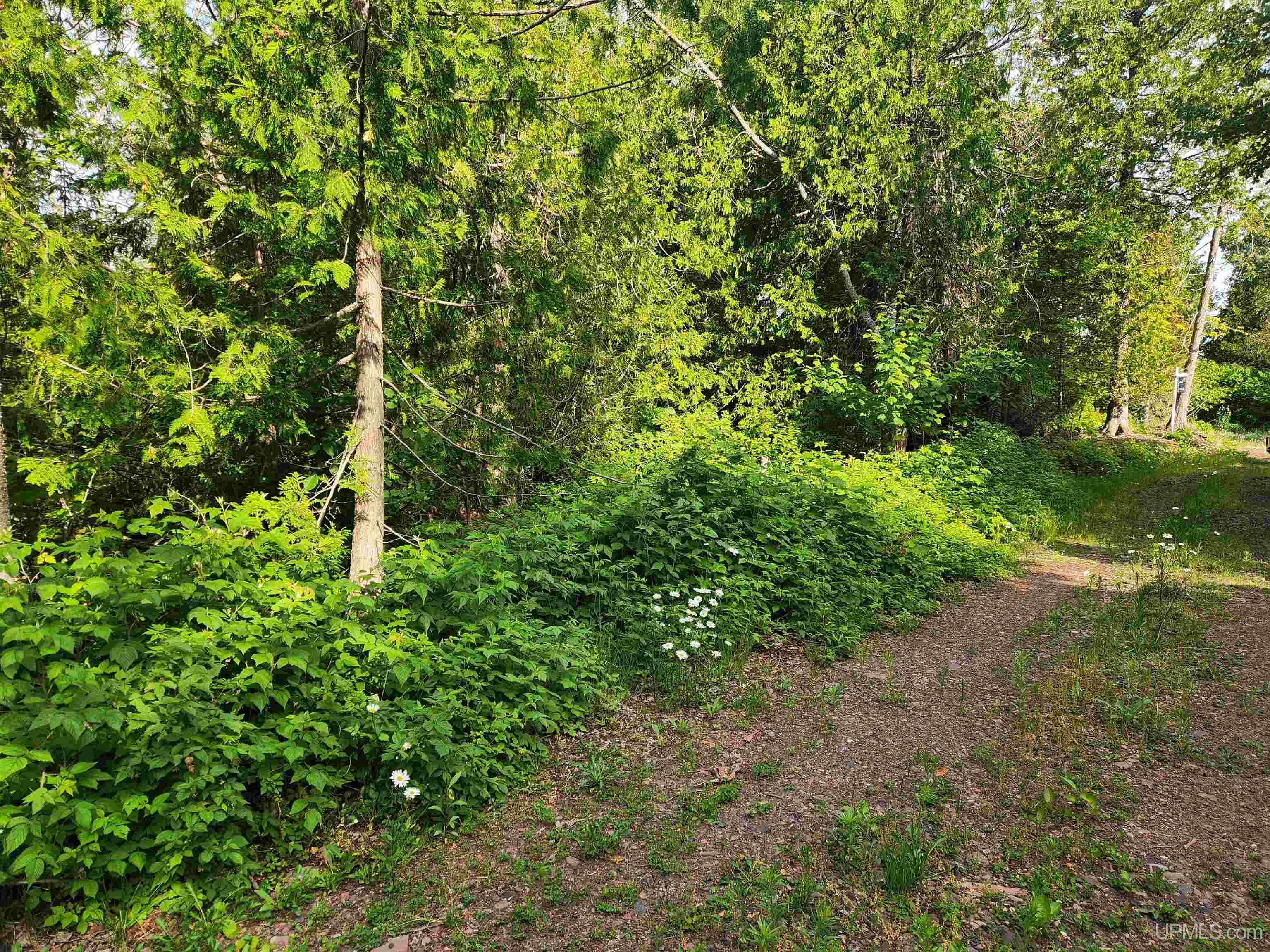 main property photo 49