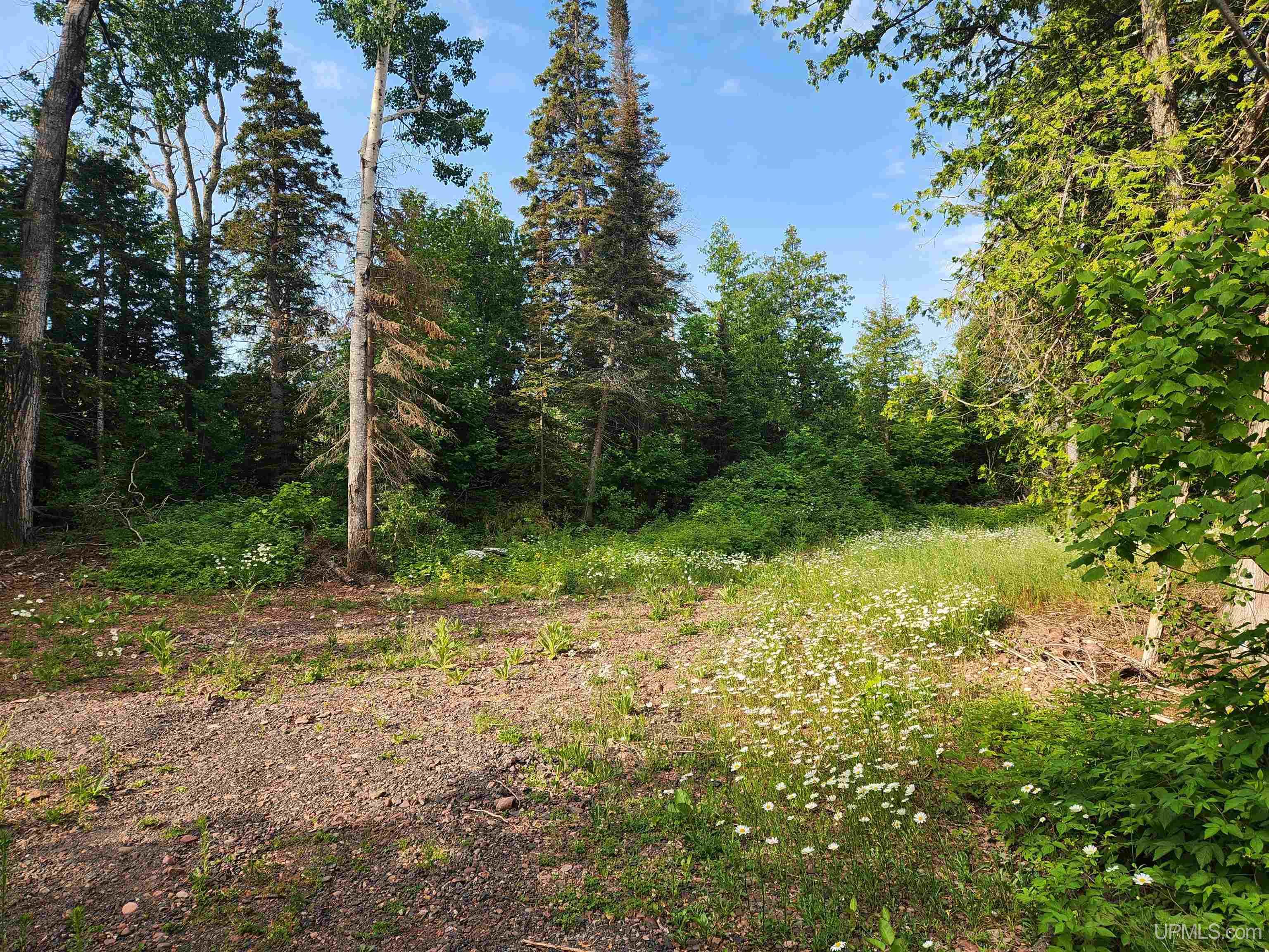 main property photo 51