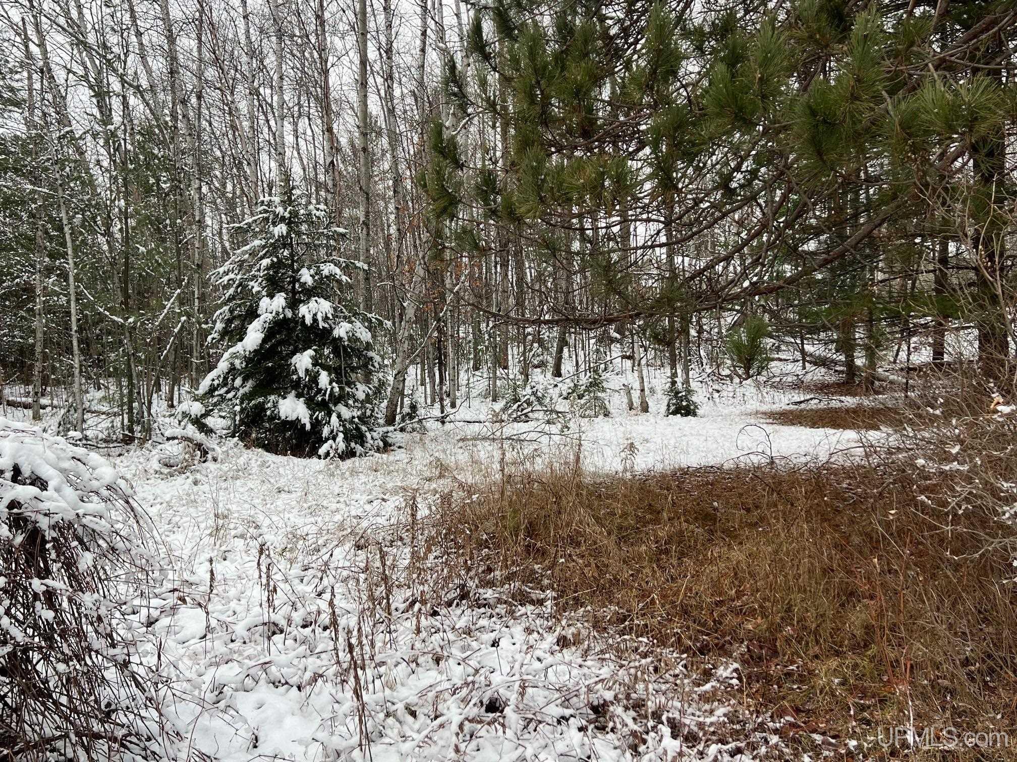 main property photo 57