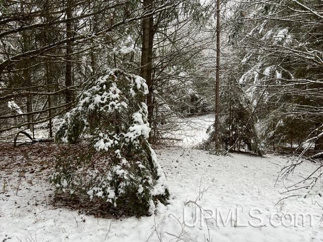 main property photo 50