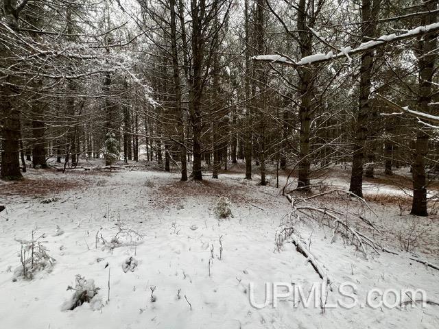 main property photo 53