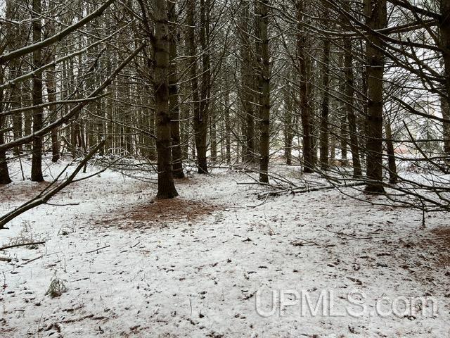 main property photo 55