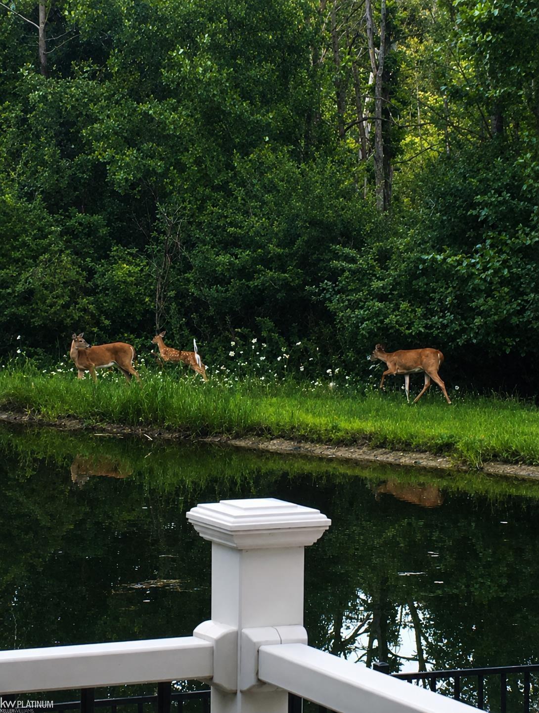main property photo 52