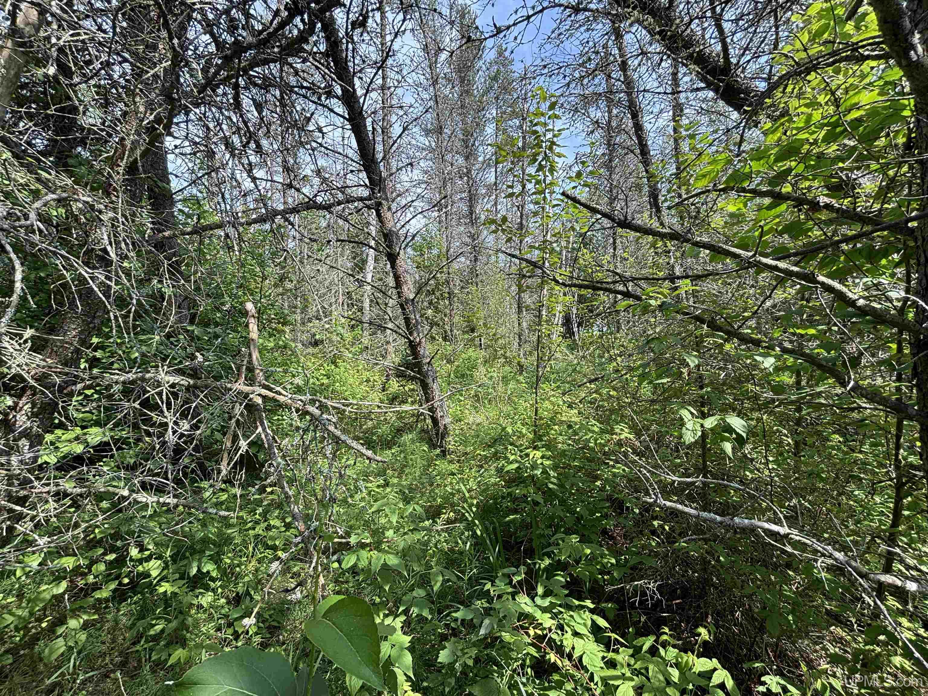 main property photo 42