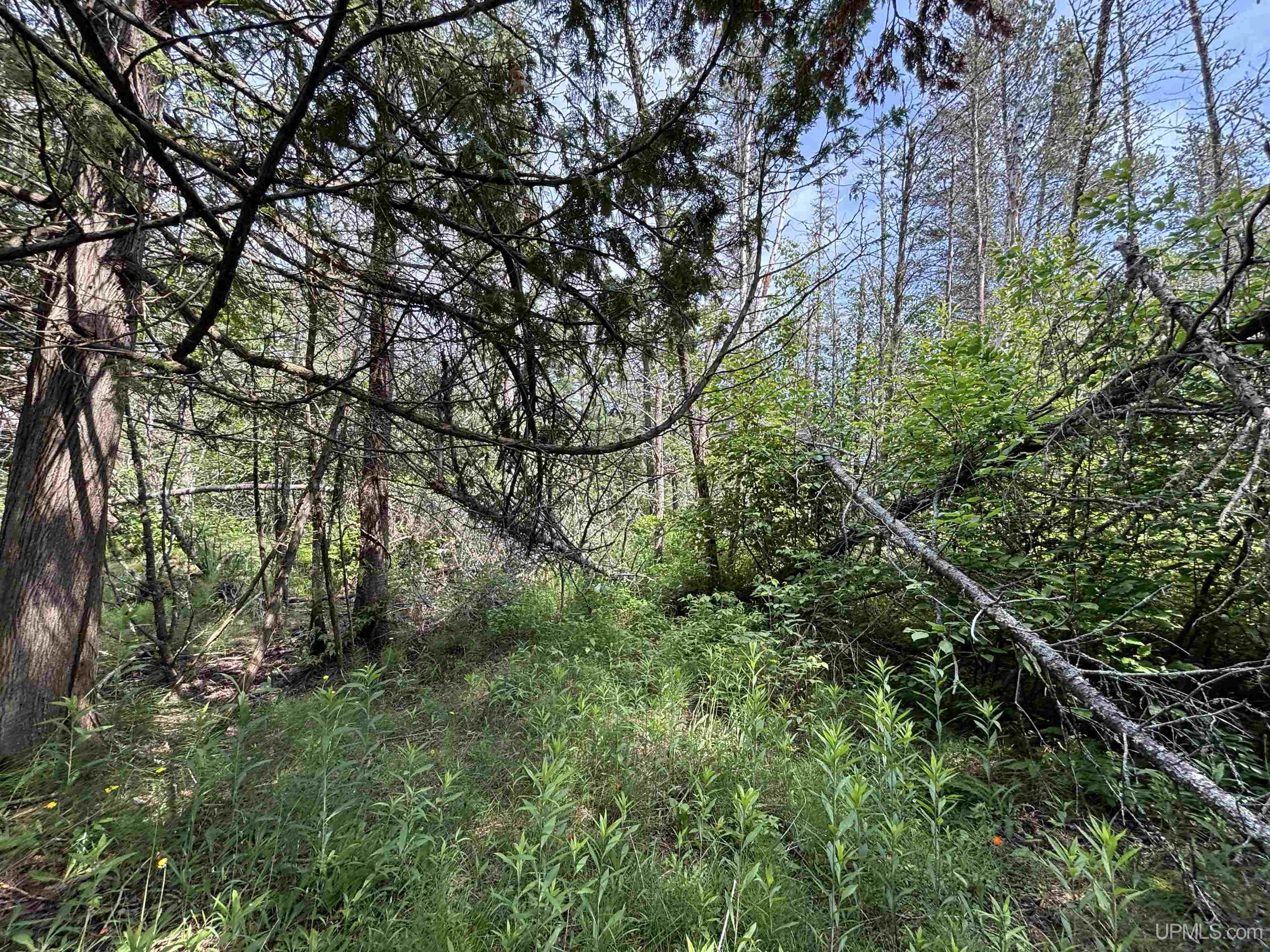 main property photo 43