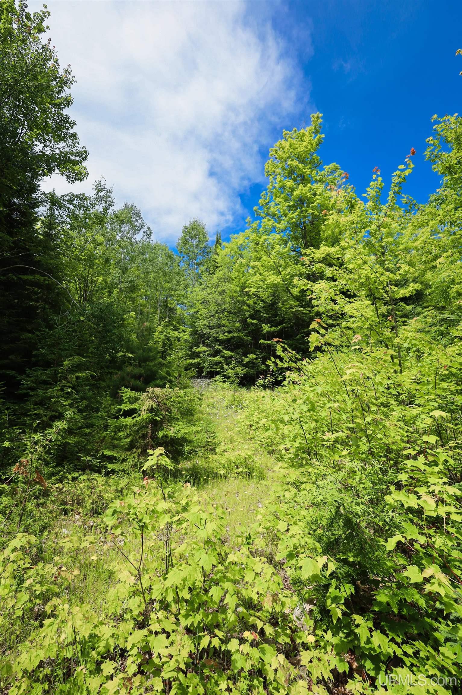 main property photo 20
