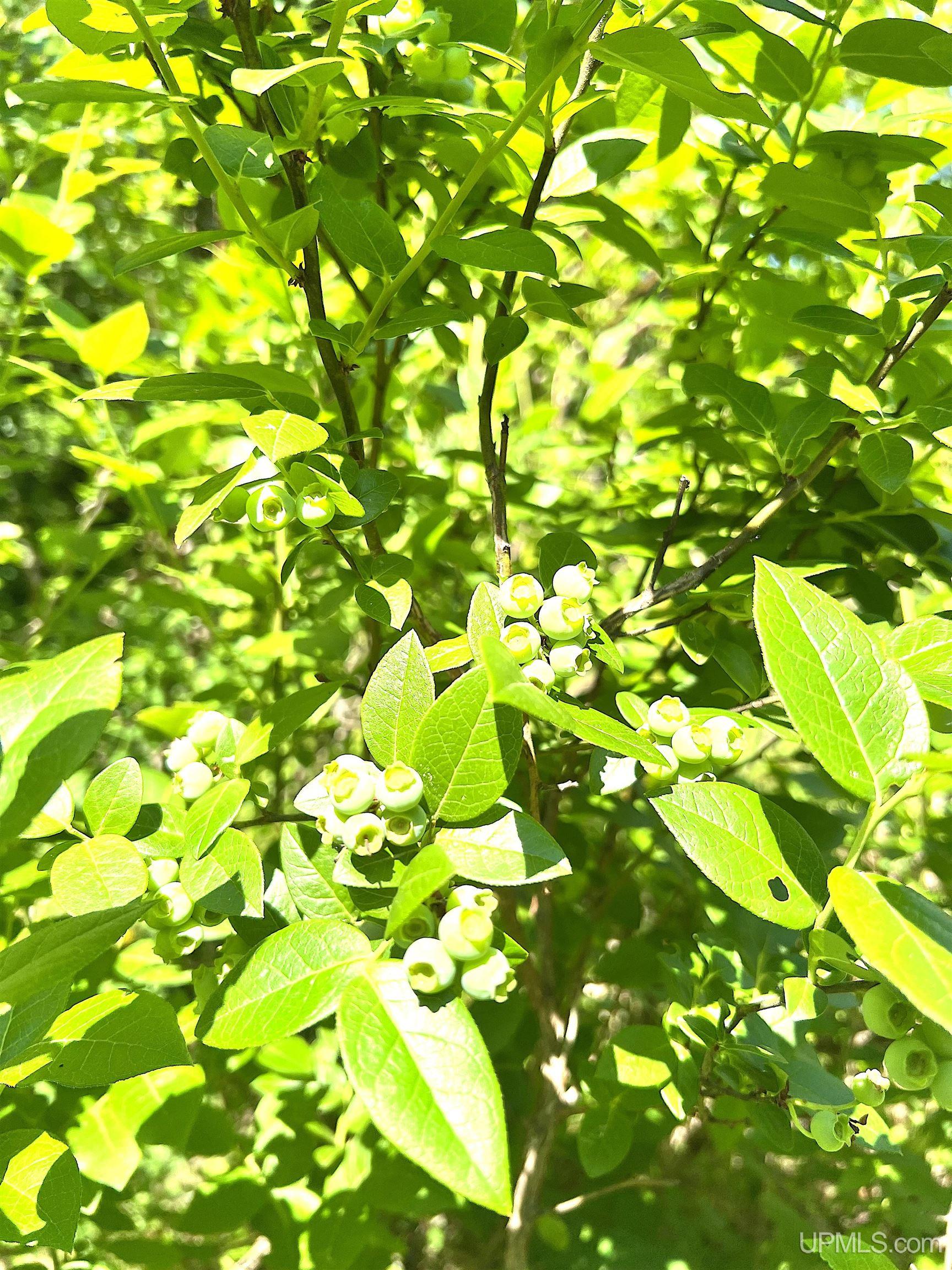 main property photo 74