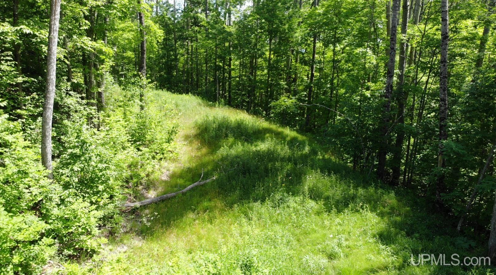 main property photo 59