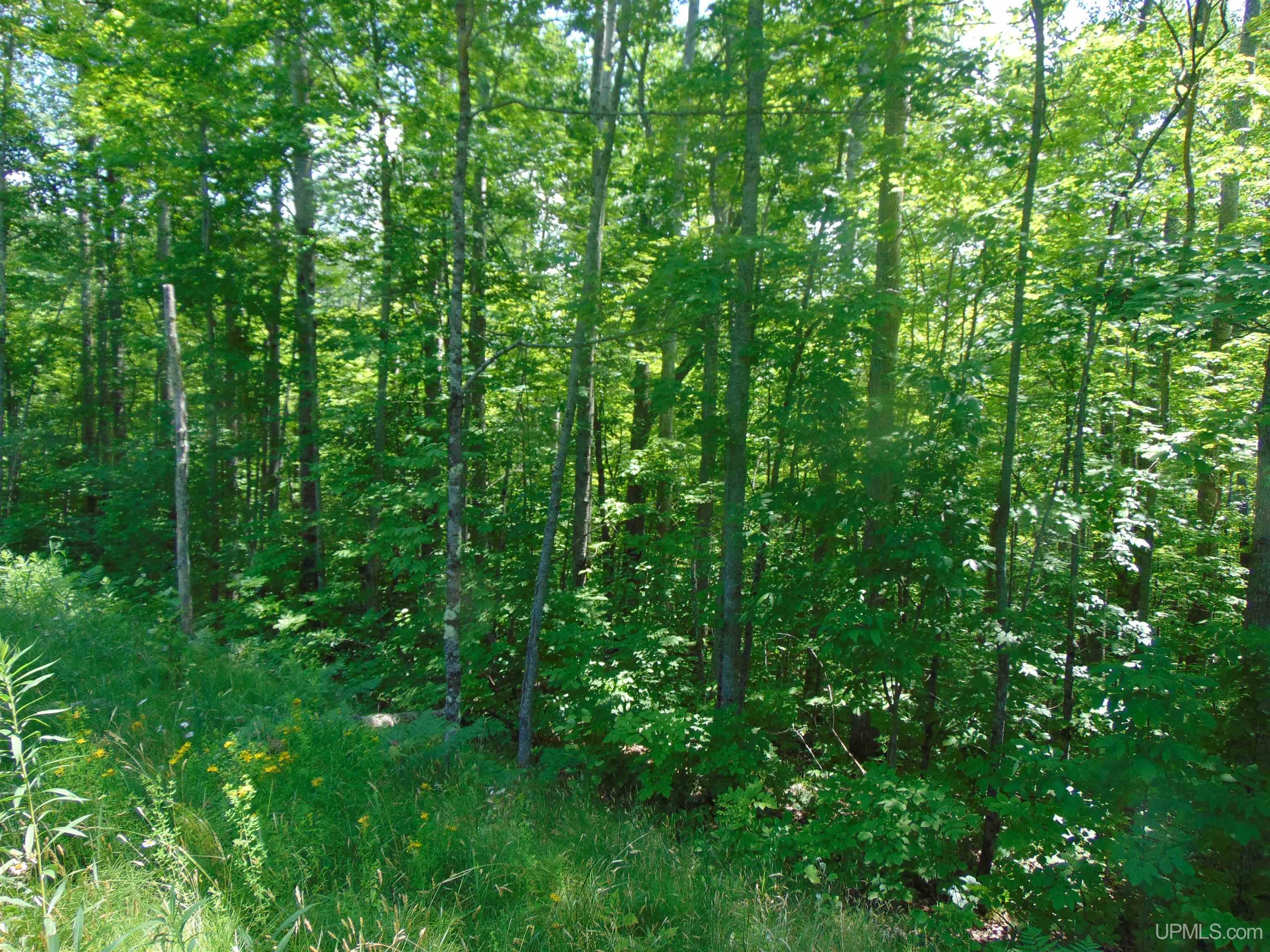 main property photo 66
