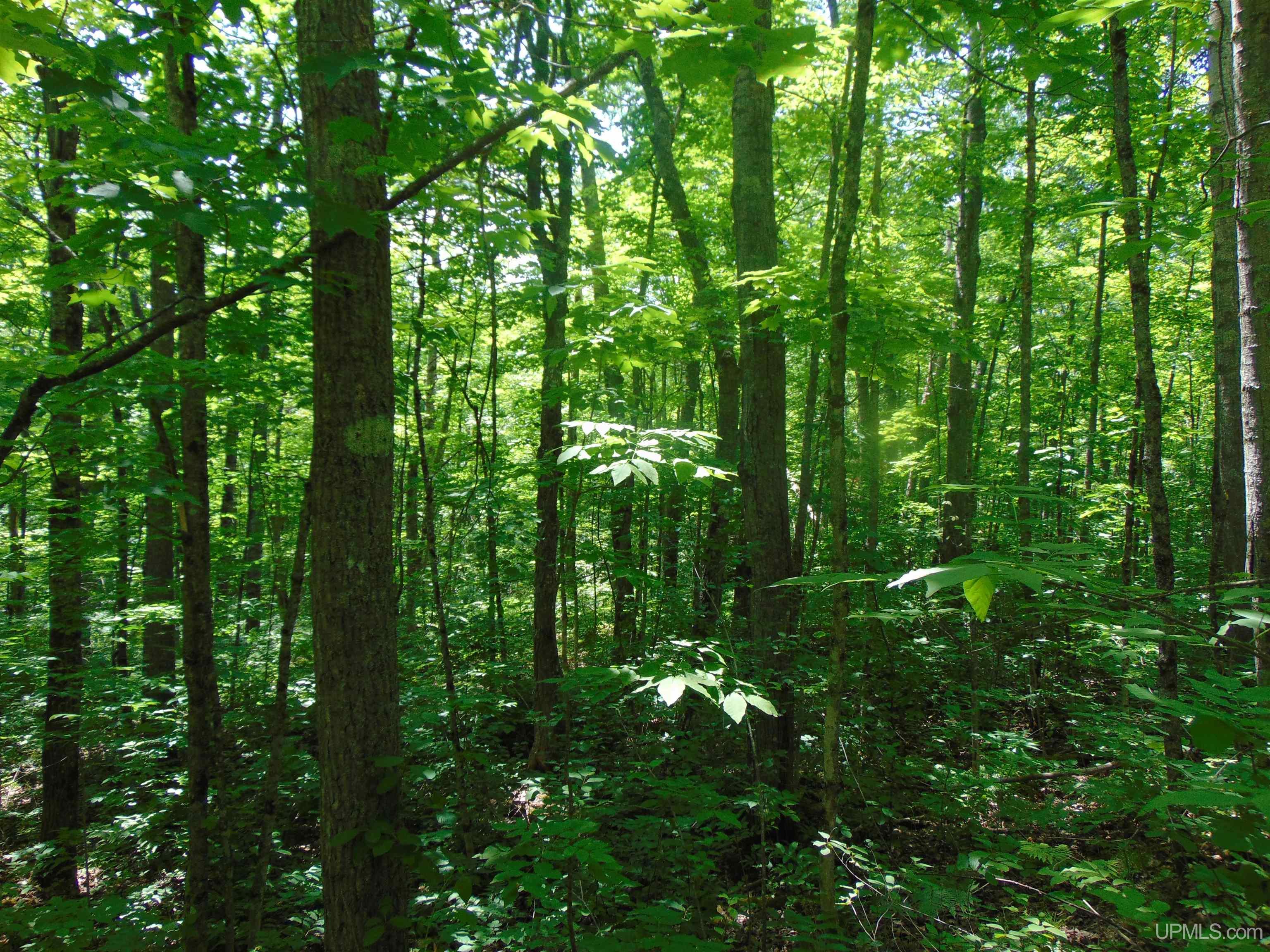 main property photo 69