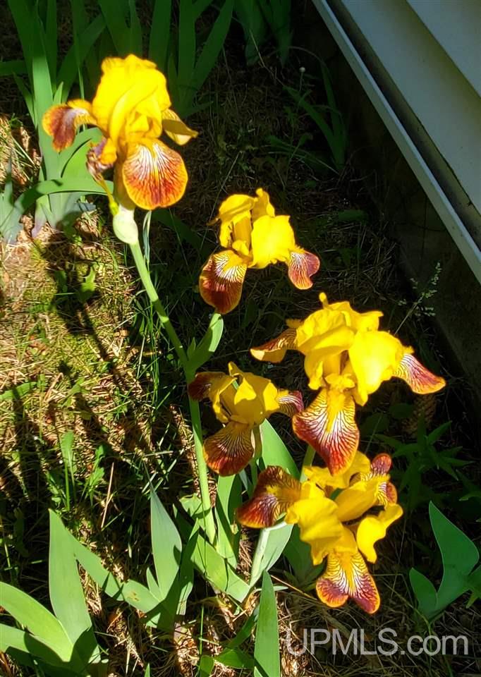 main property photo 48