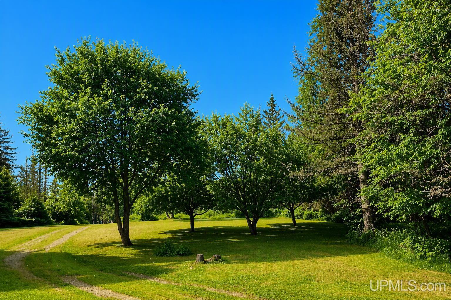 main property photo 85