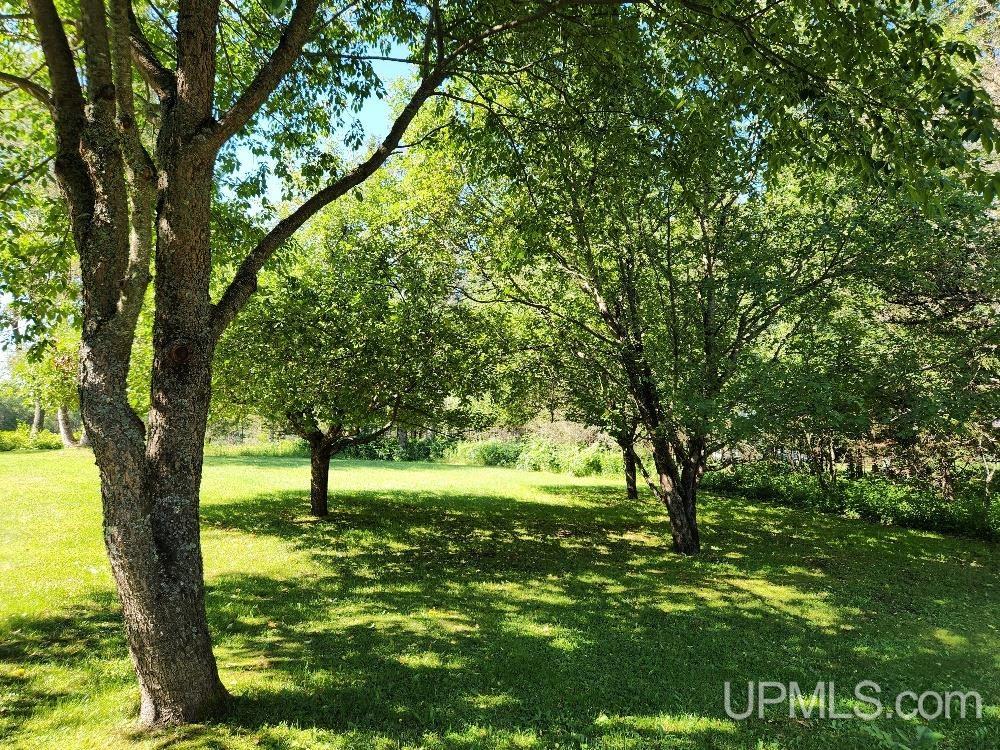 main property photo 86