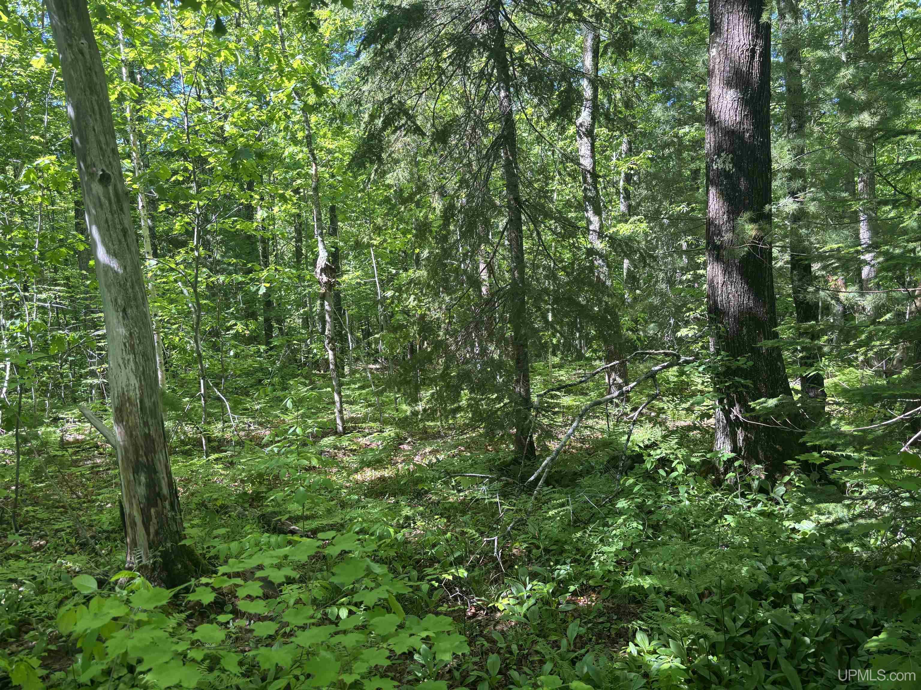 main property photo 16