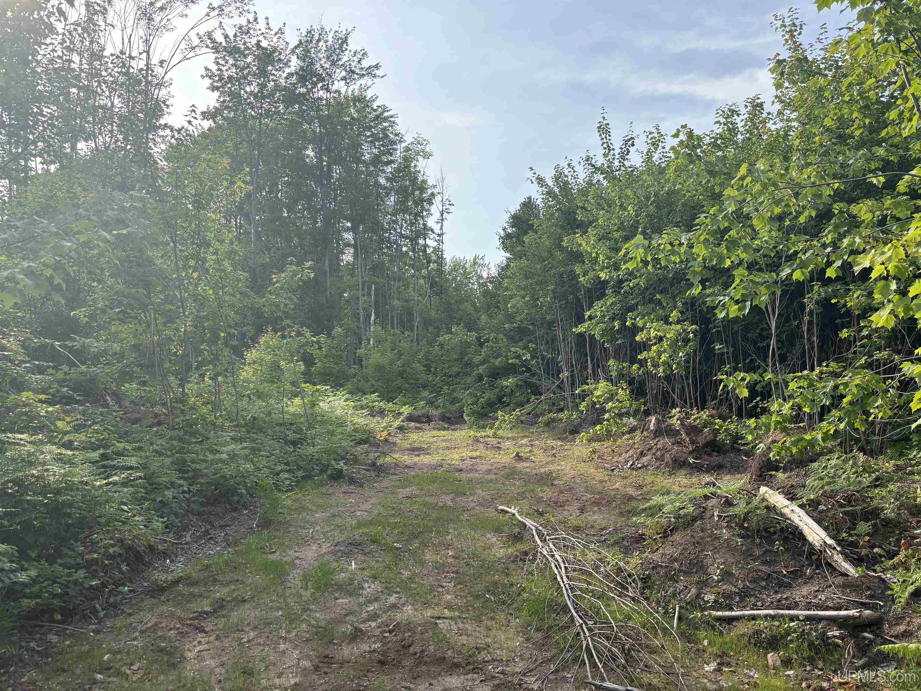 main property photo 9
