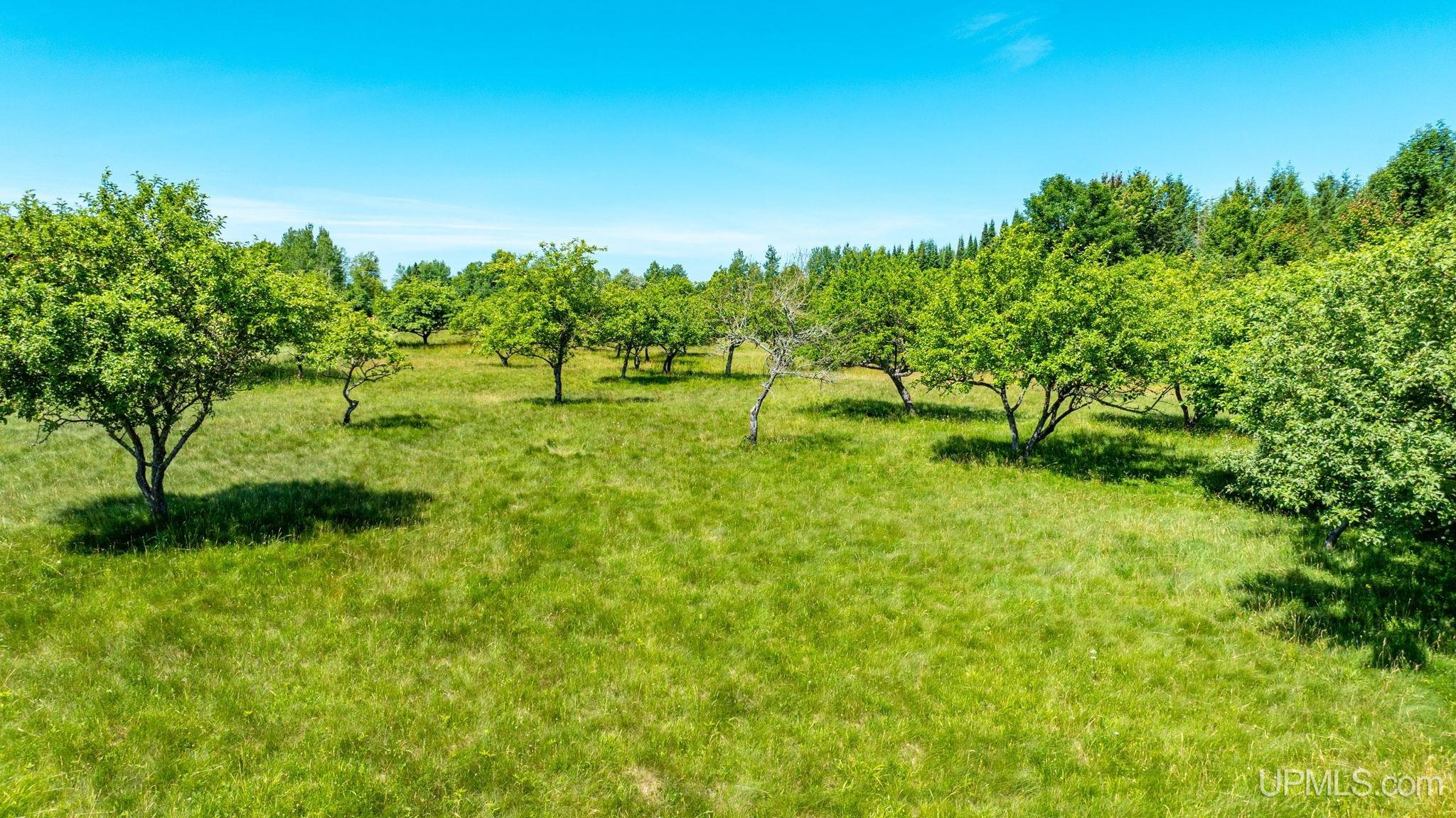 main property photo 28