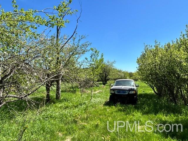 main property photo 44