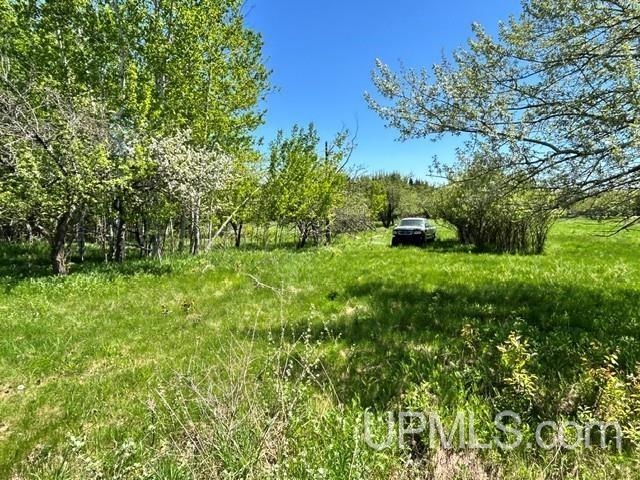 main property photo 48