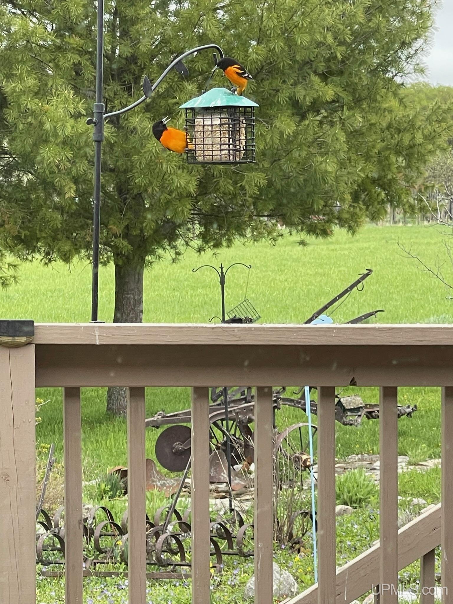 main property photo 89