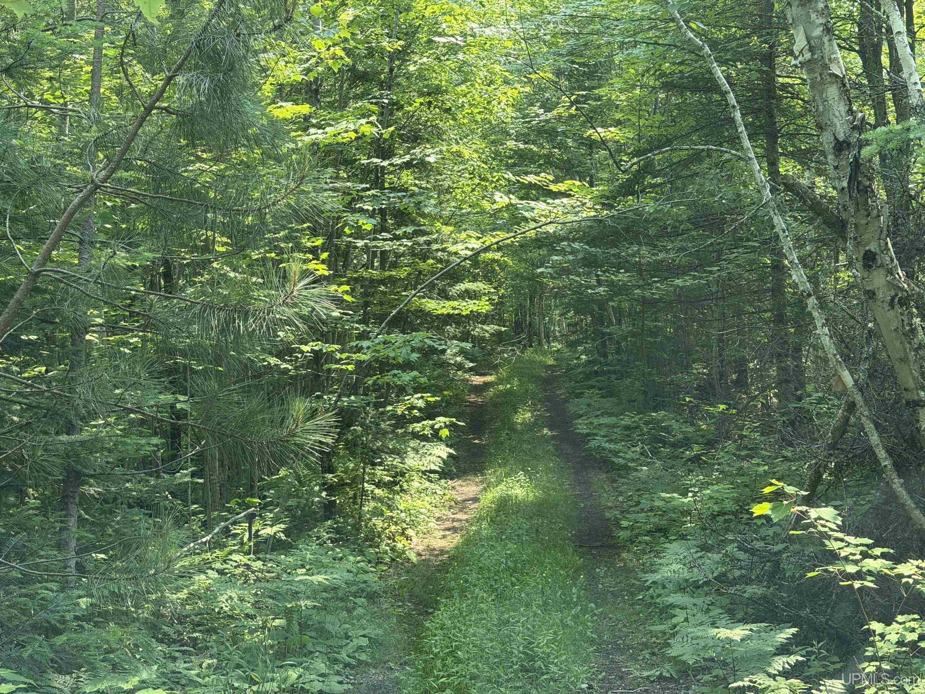 main property photo 6