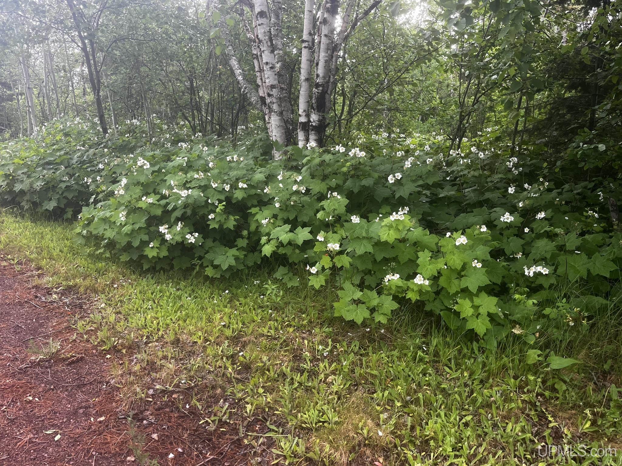 main property photo 58