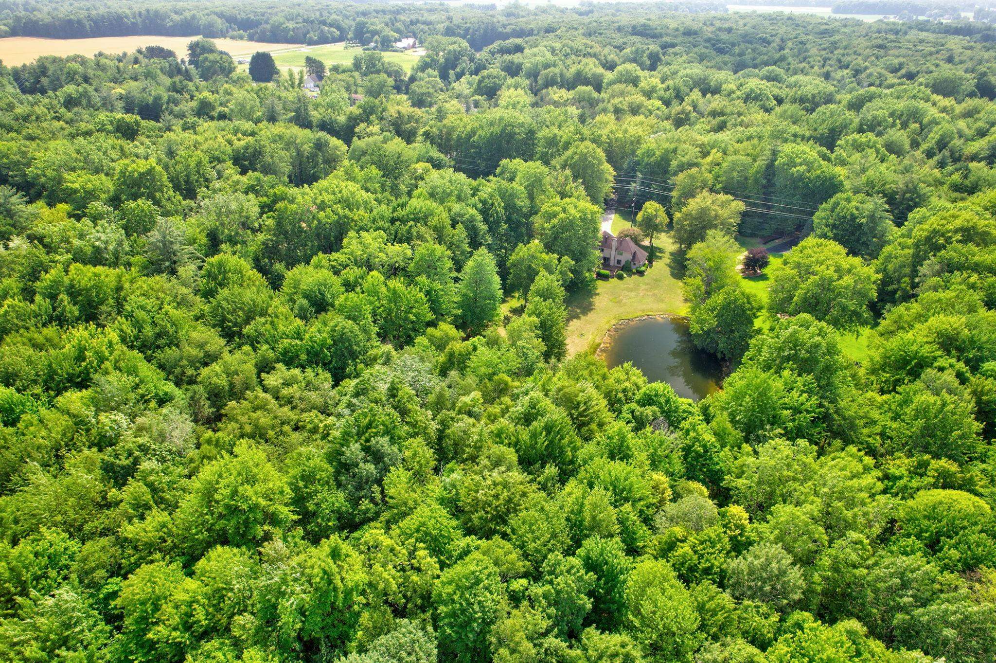 main property photo 62