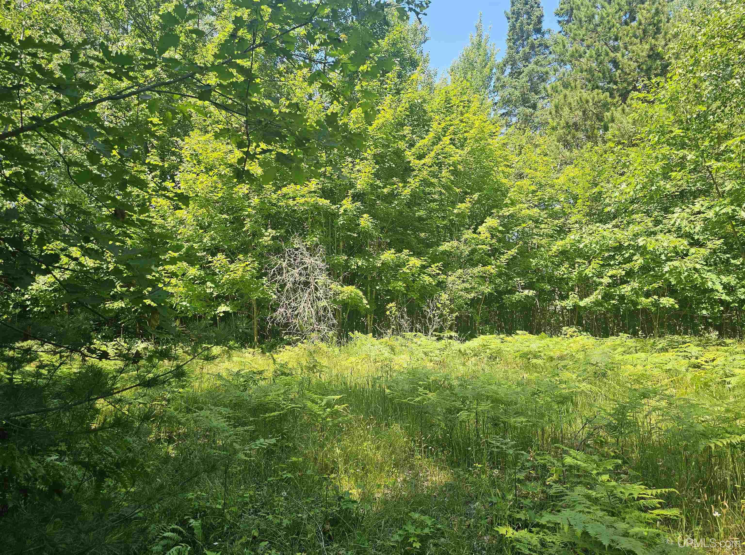 main property photo 0