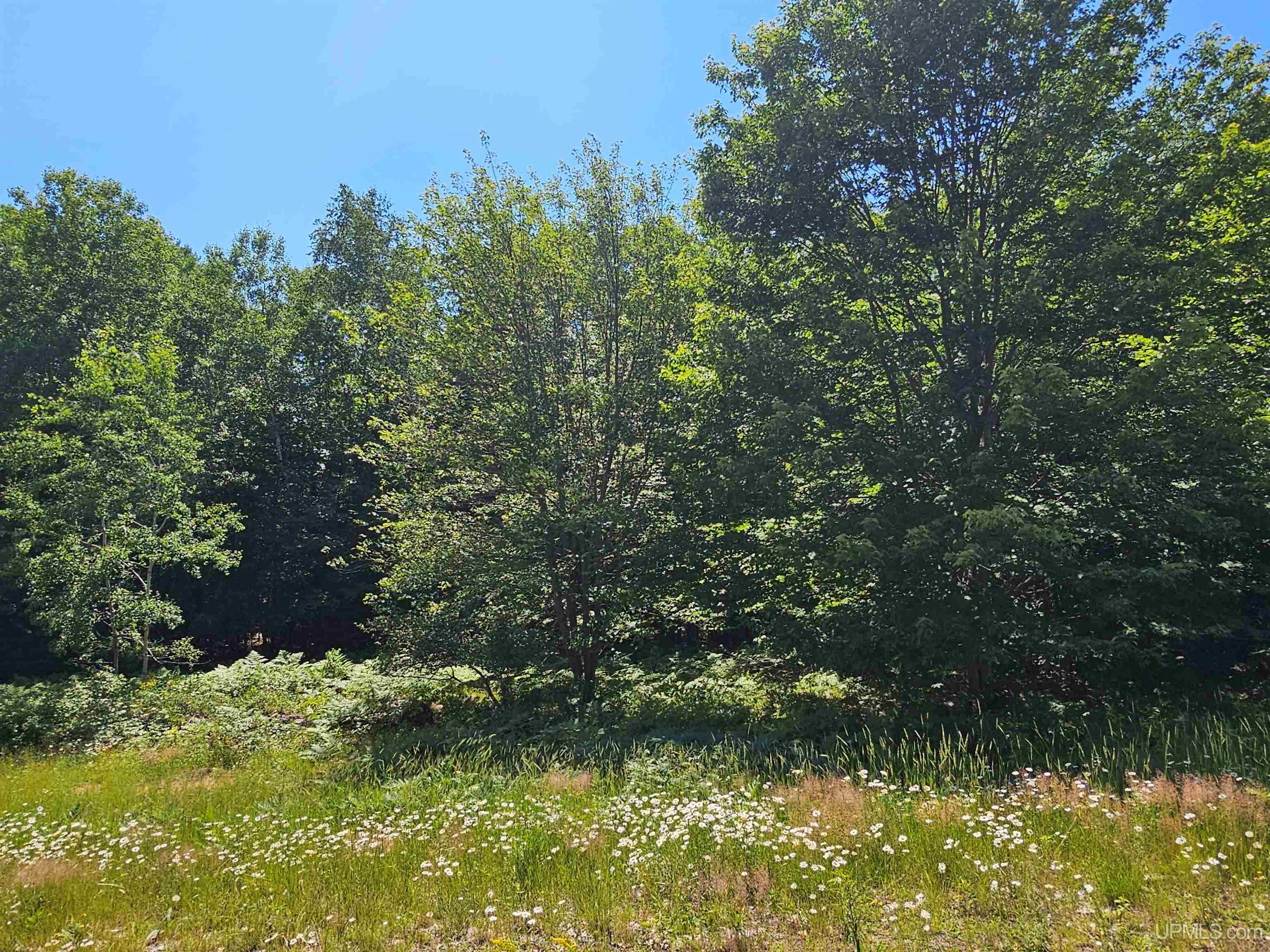 main property photo 0