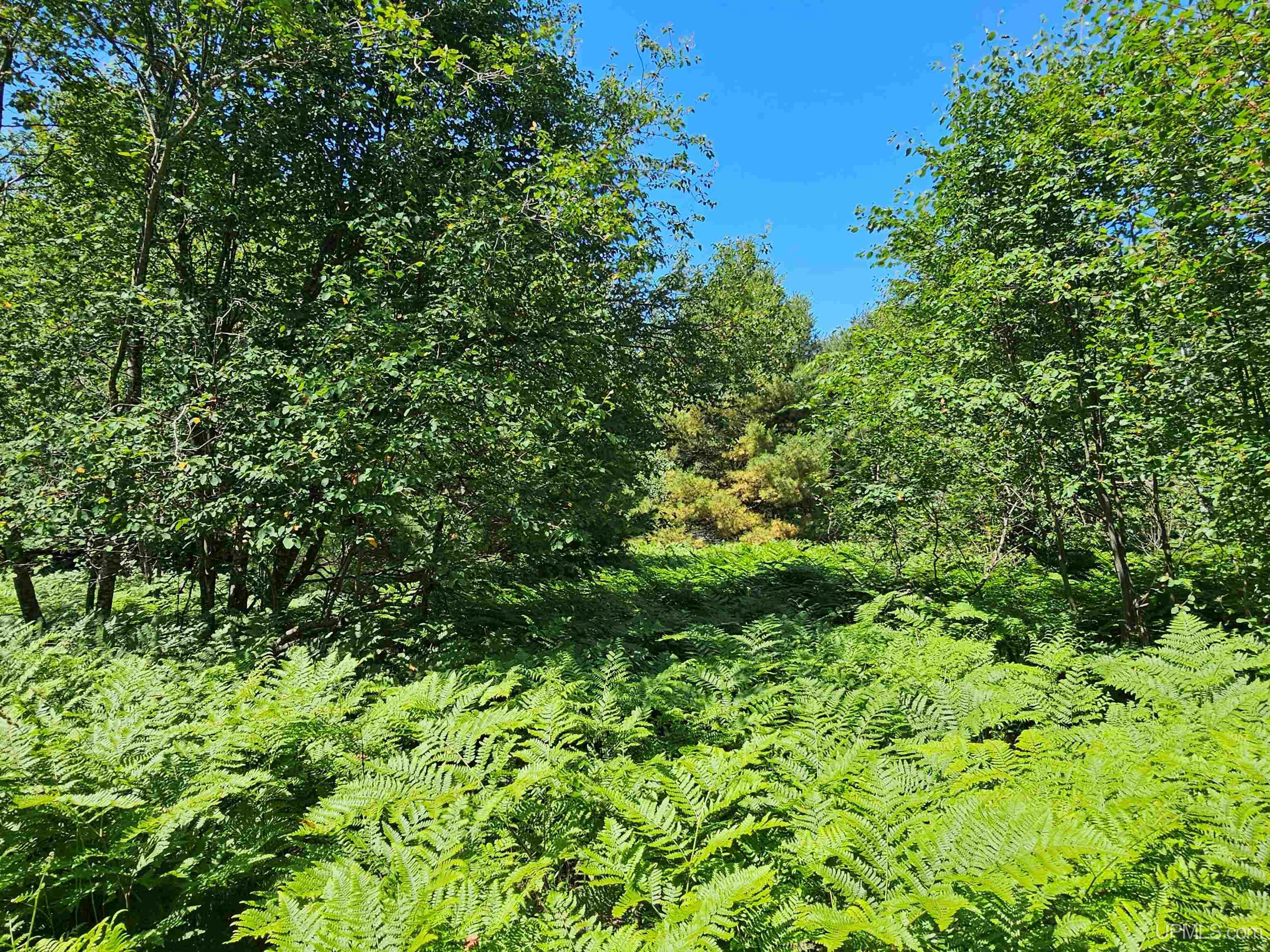 main property photo 0
