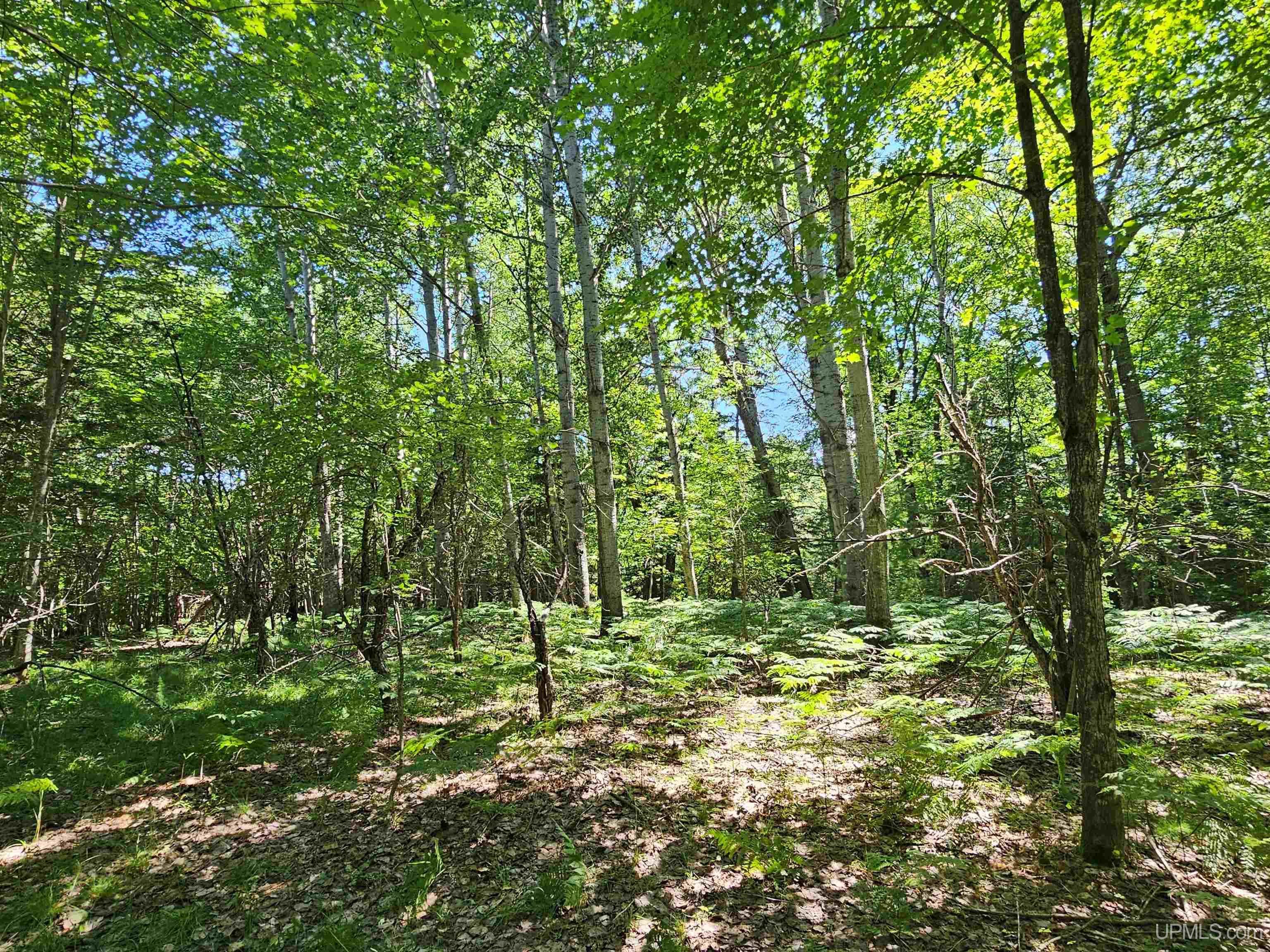 main property photo 7