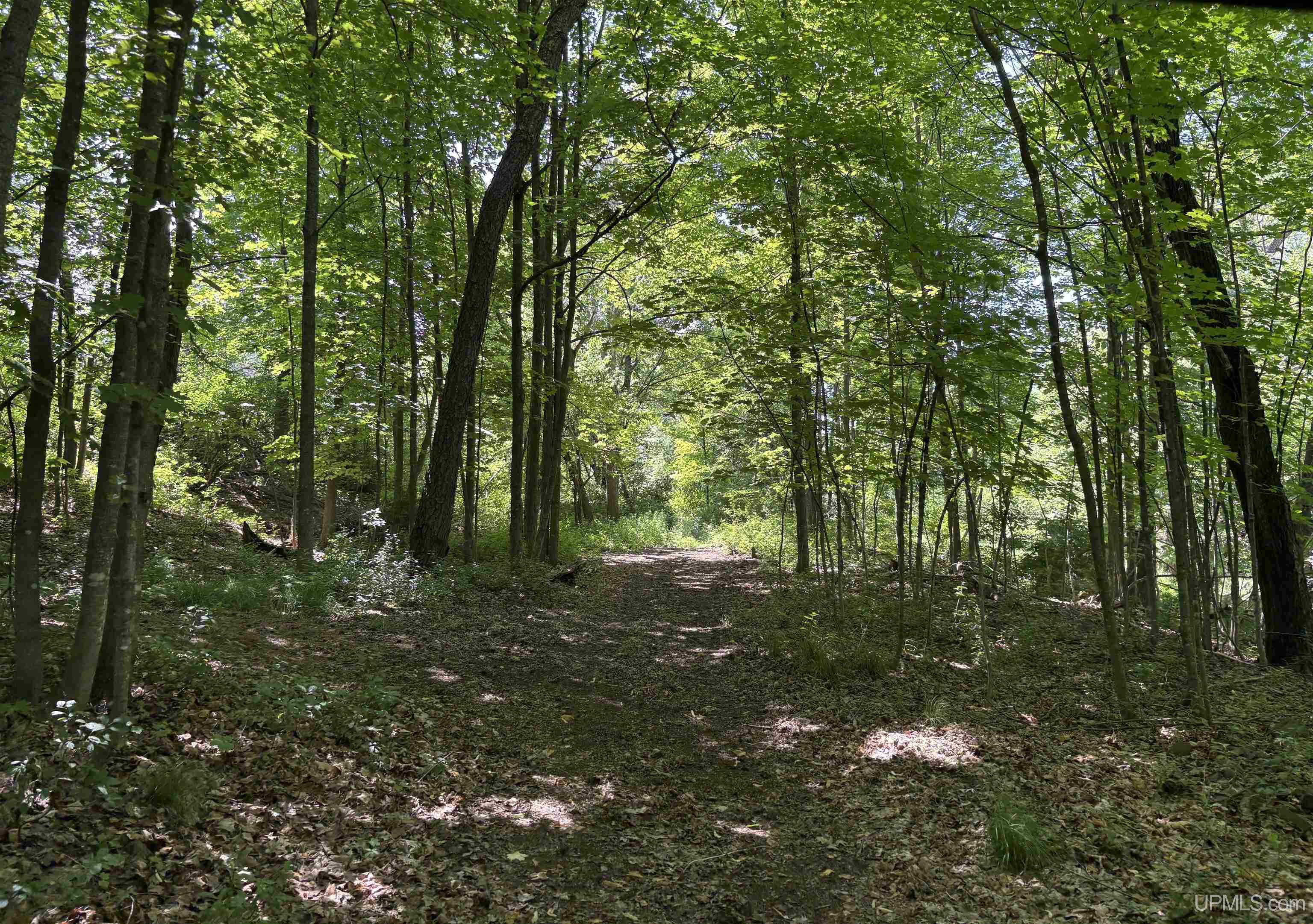 main property photo 52