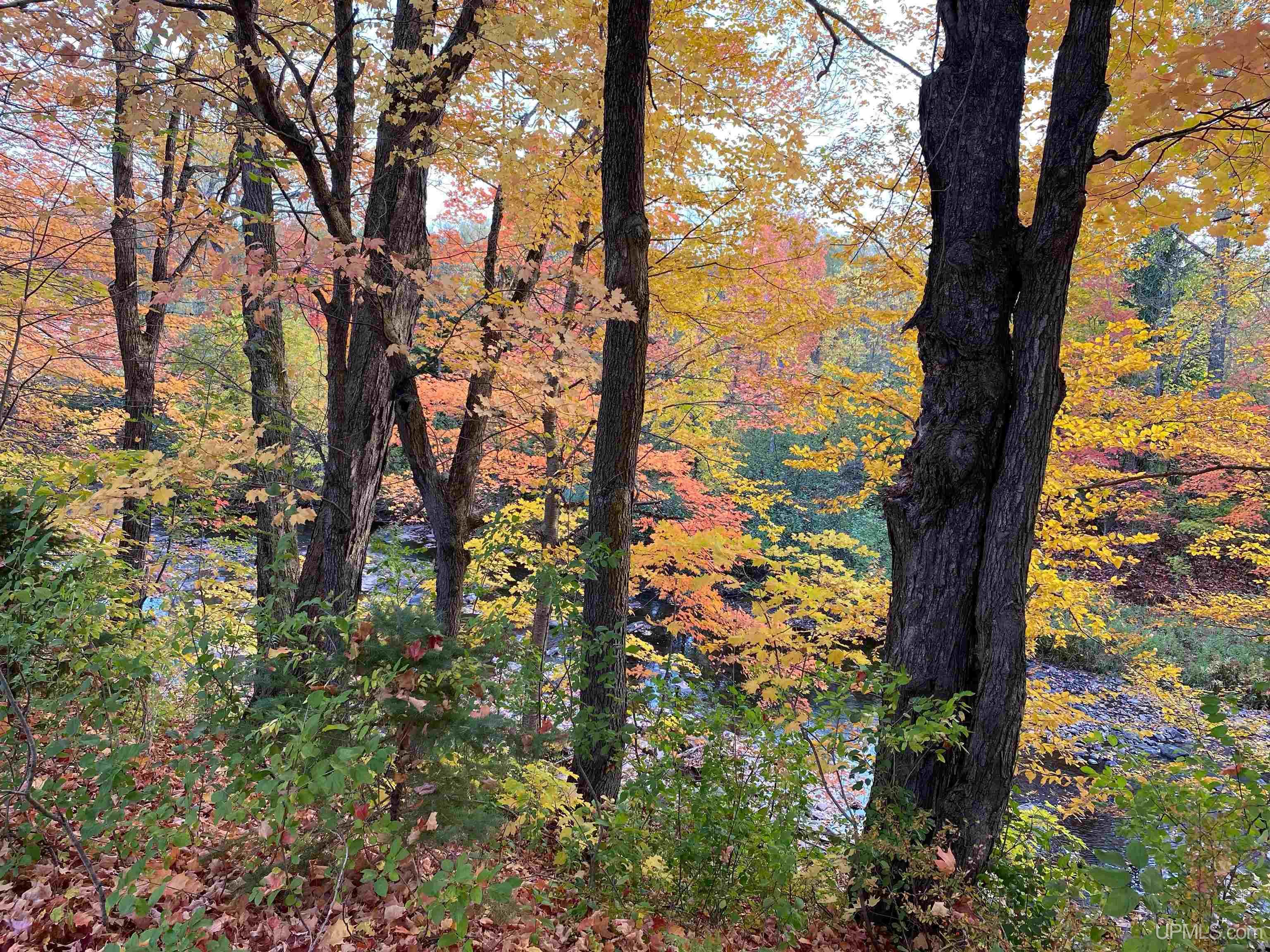 main property photo 59