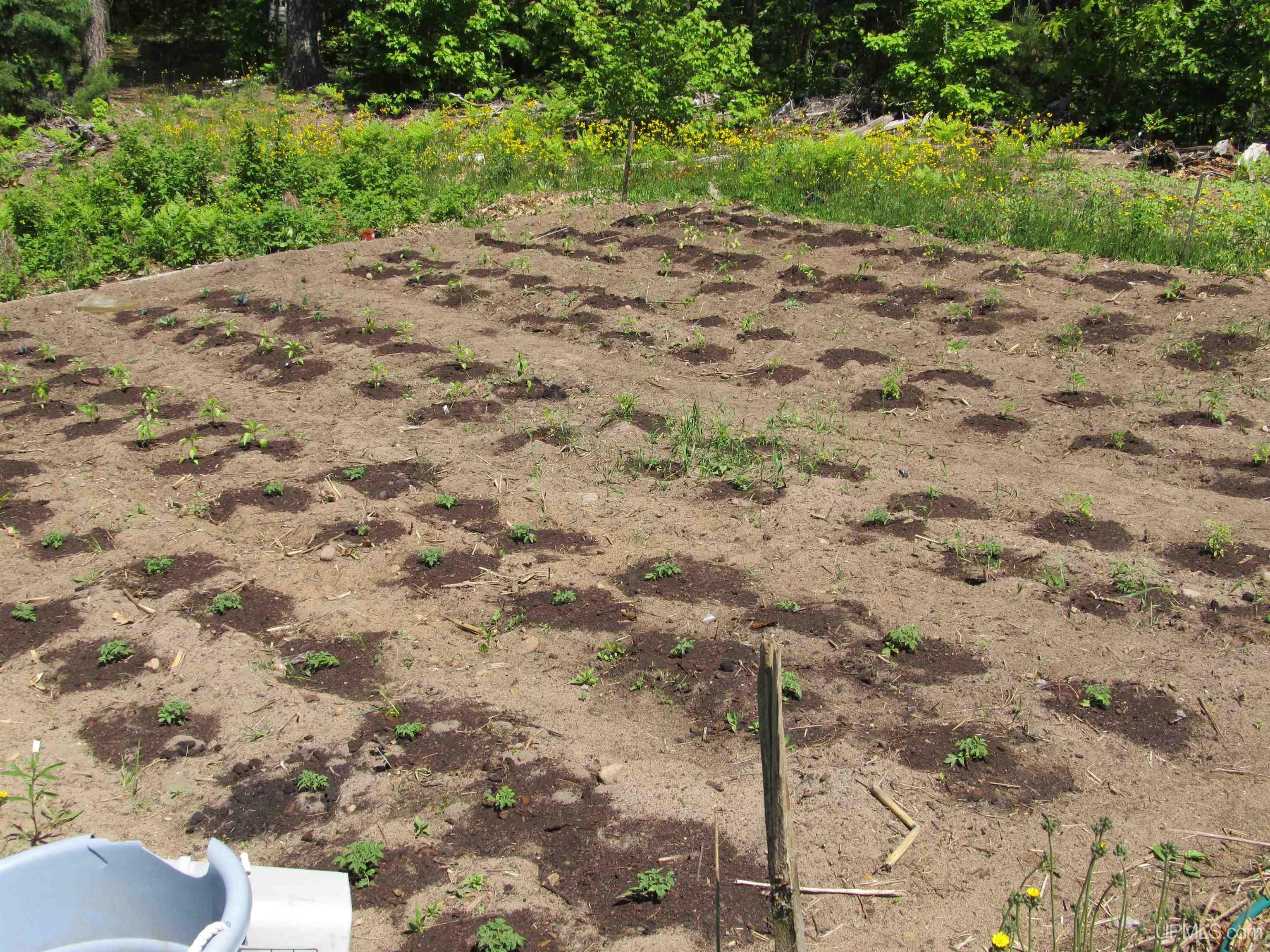 main property photo 58
