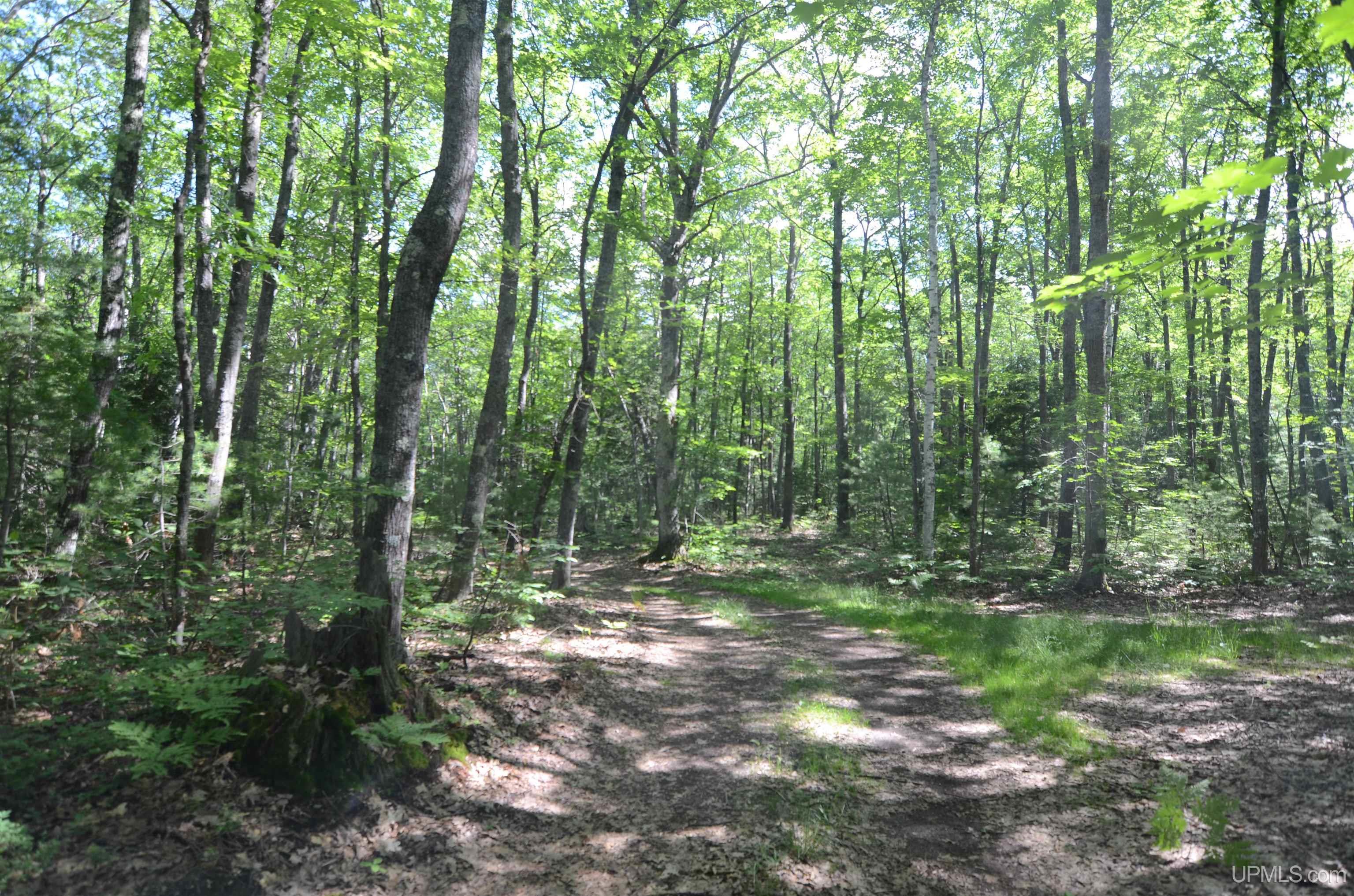 main property photo 72