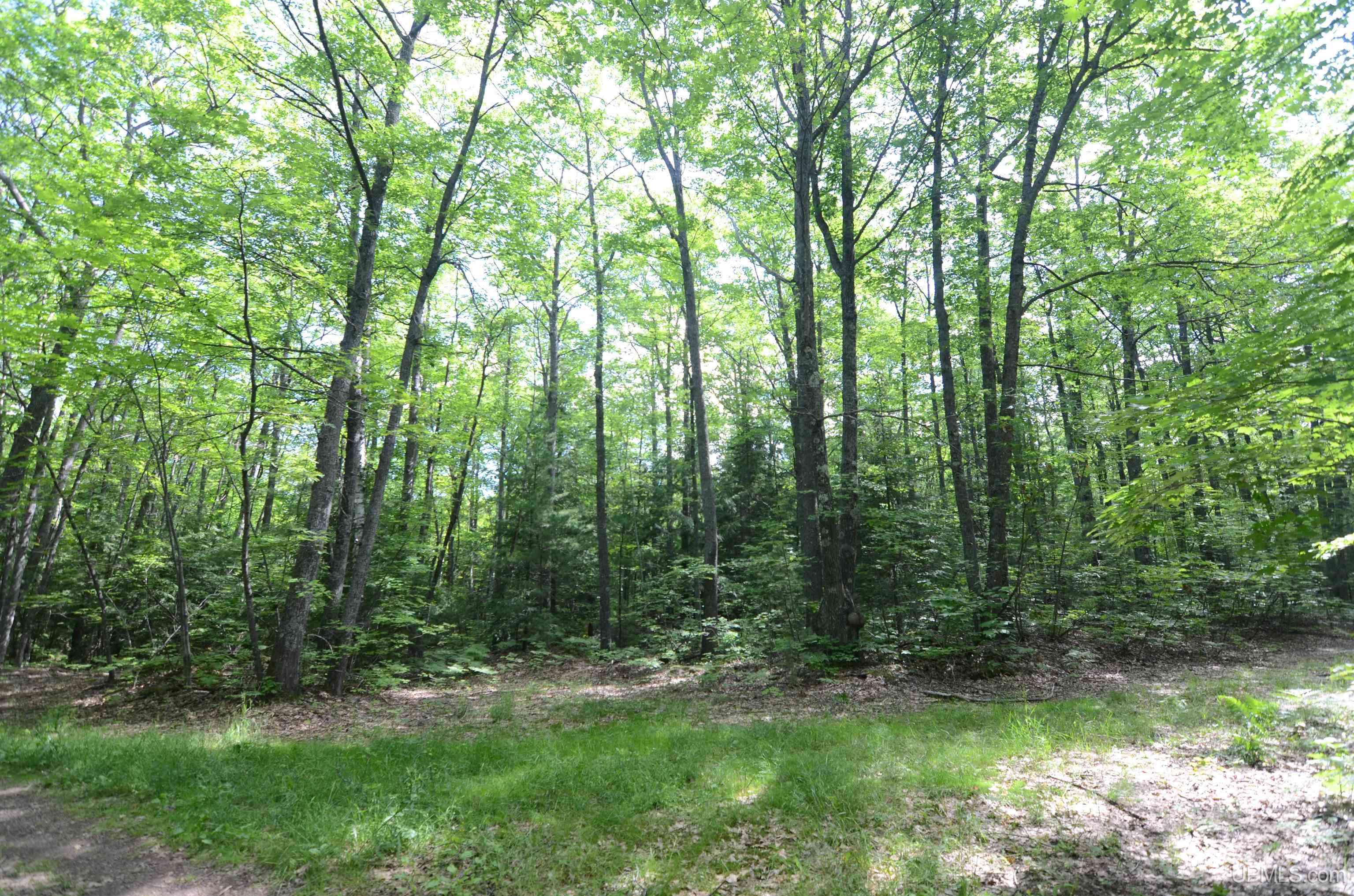 main property photo 78