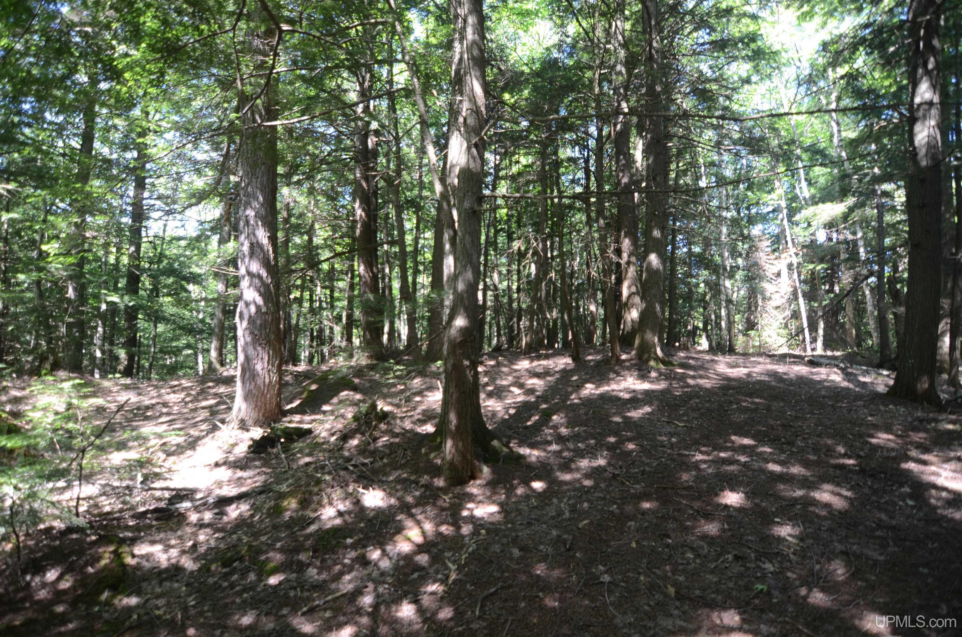 main property photo 80