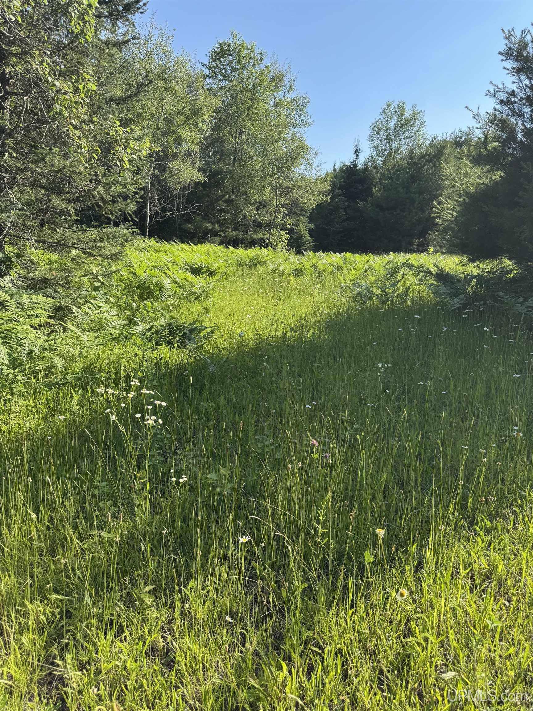 property viewer photo 1