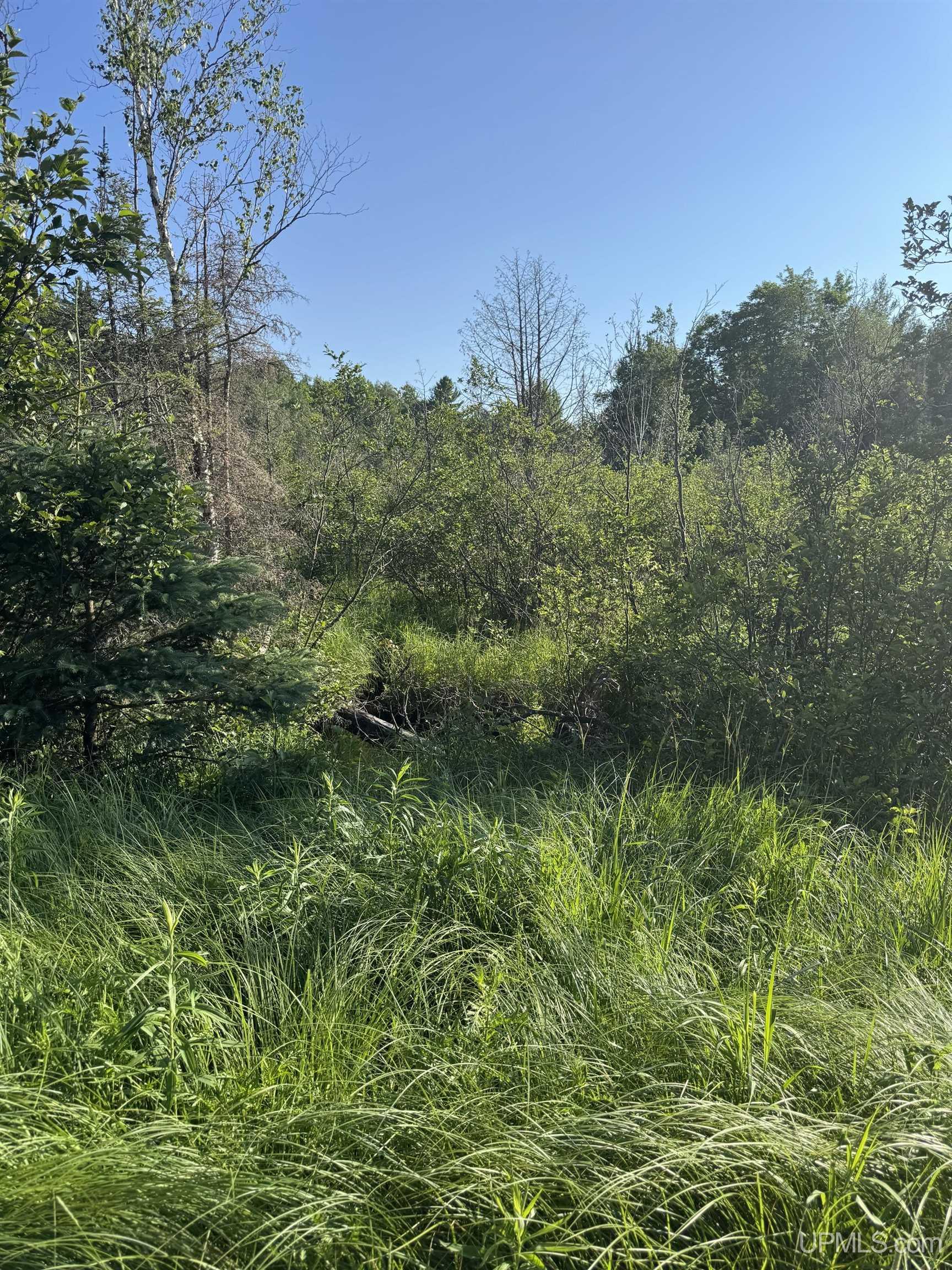 property viewer photo 10